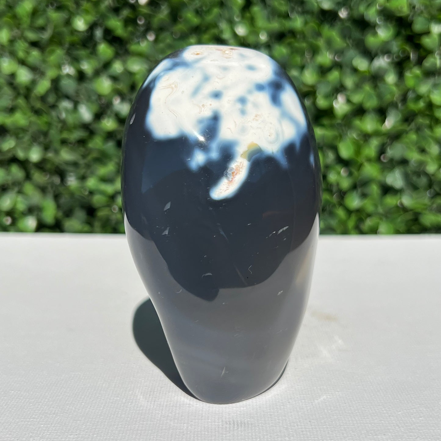 Orca Agate Free Form