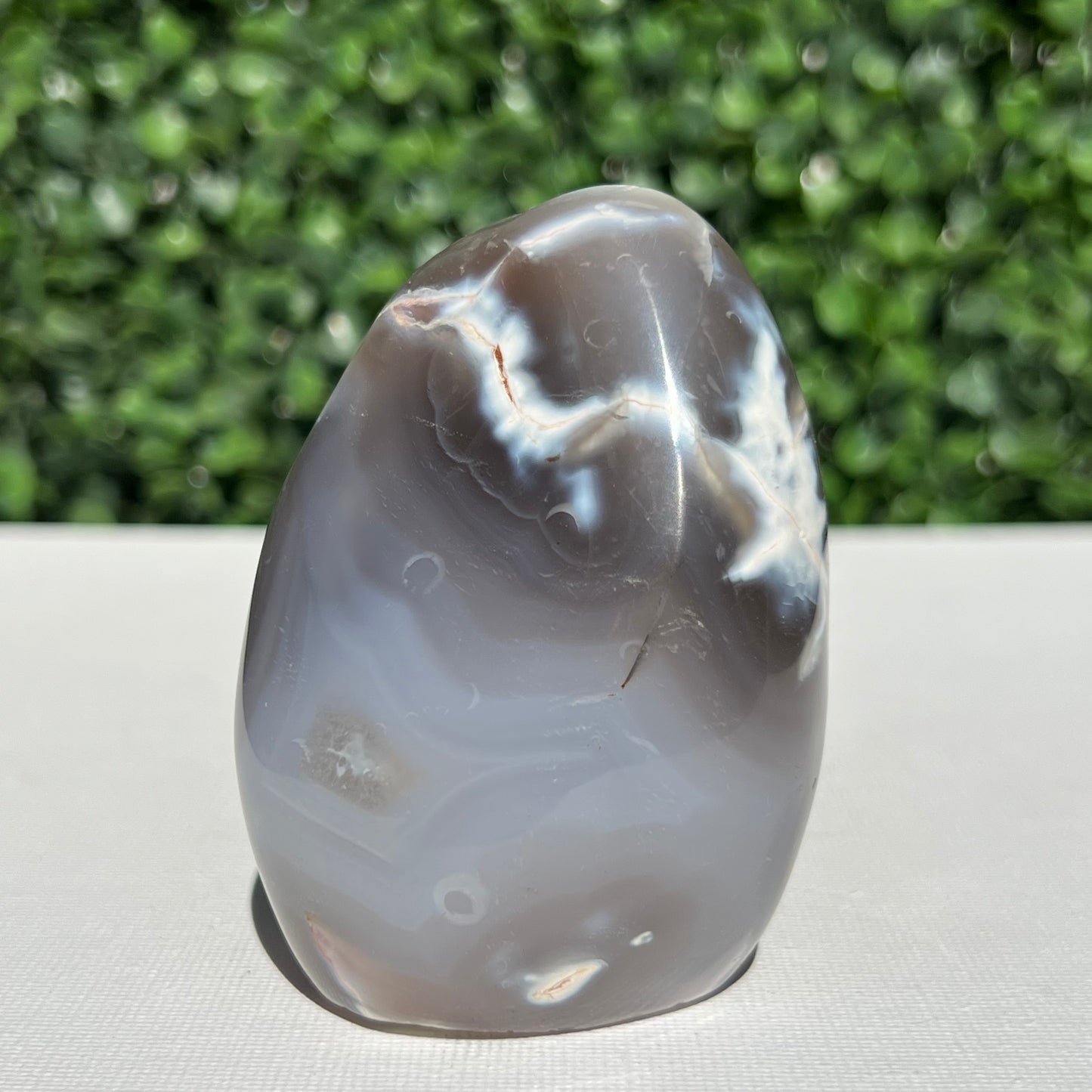 Orca Agate Free Form