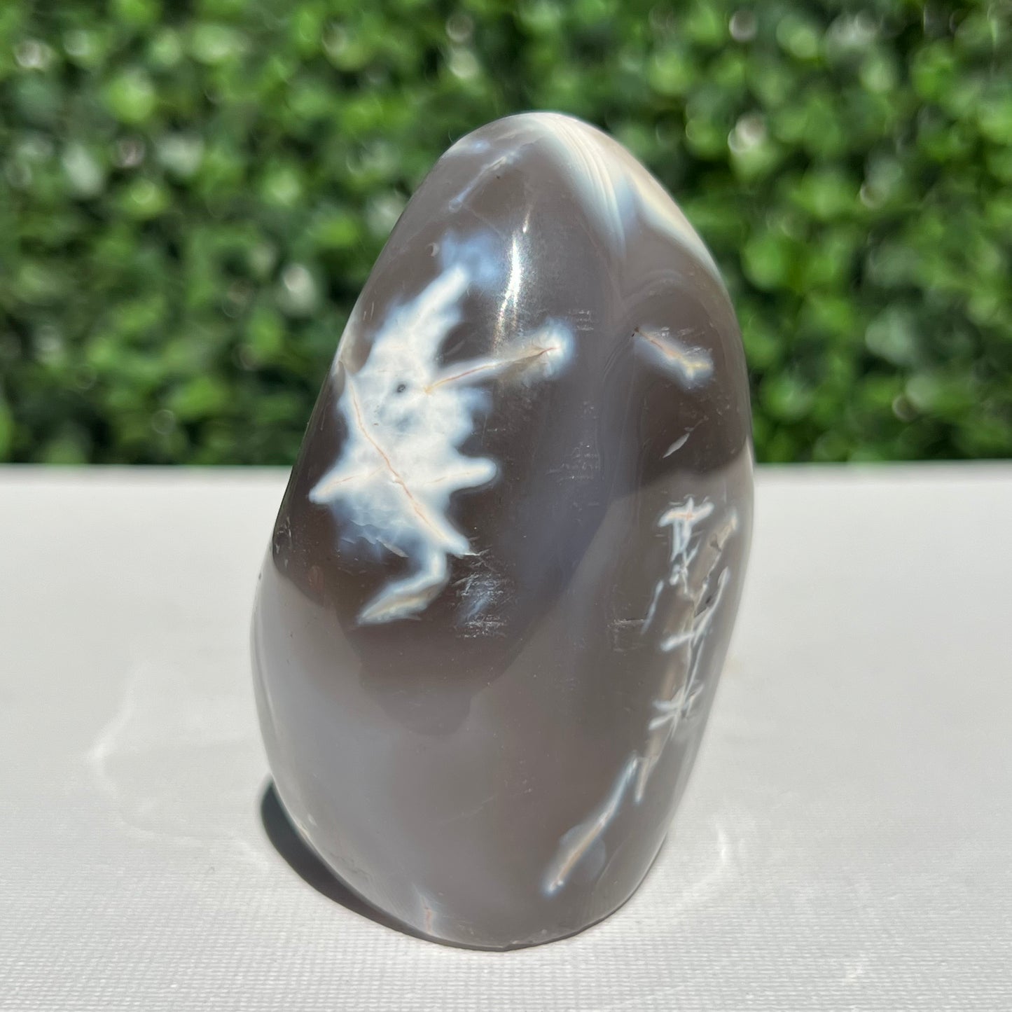 Orca Agate Free Form