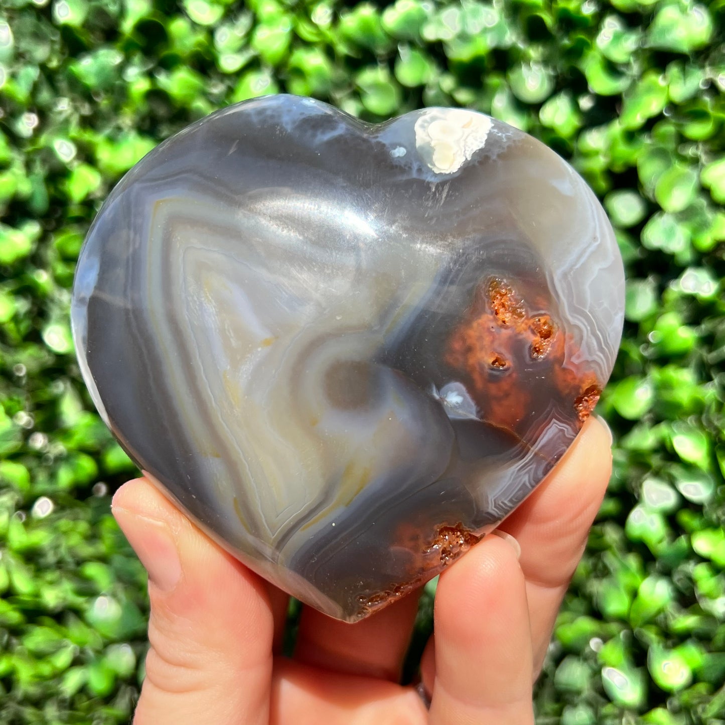 Orca Agate Heart