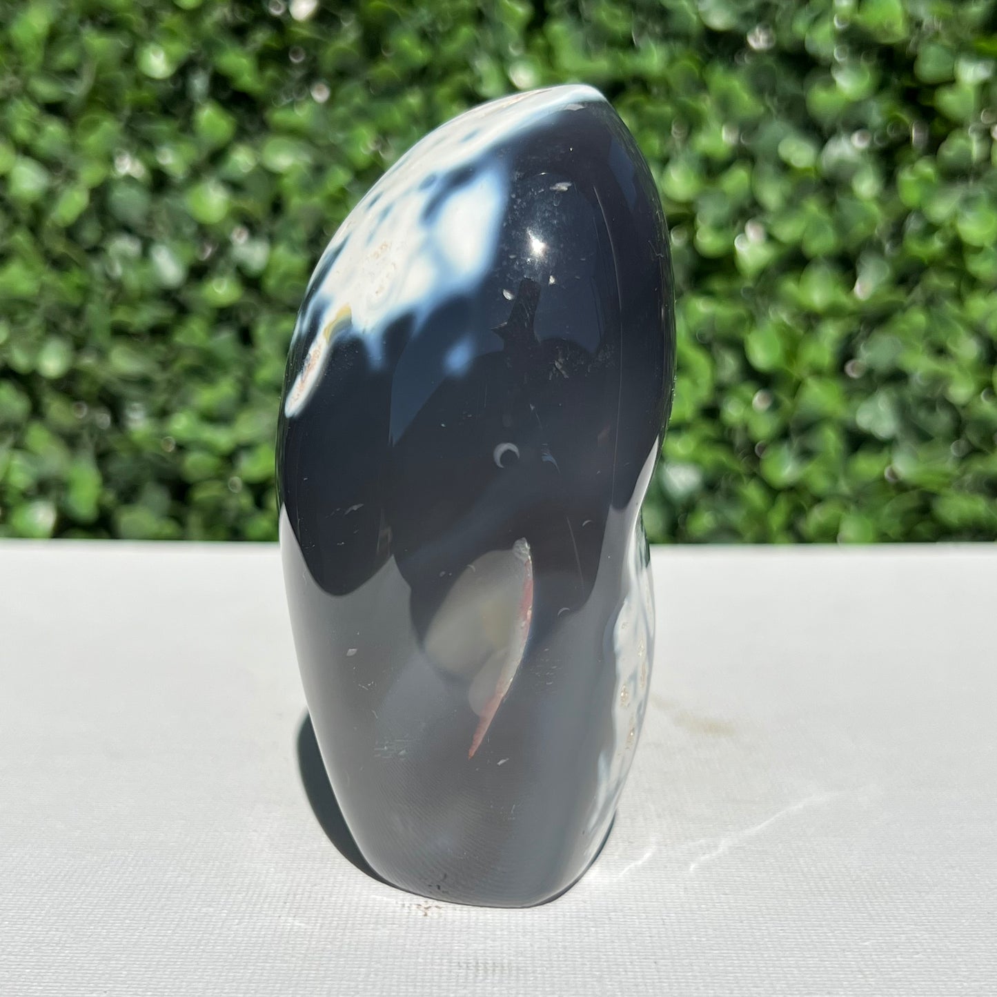 Orca Agate Free Form