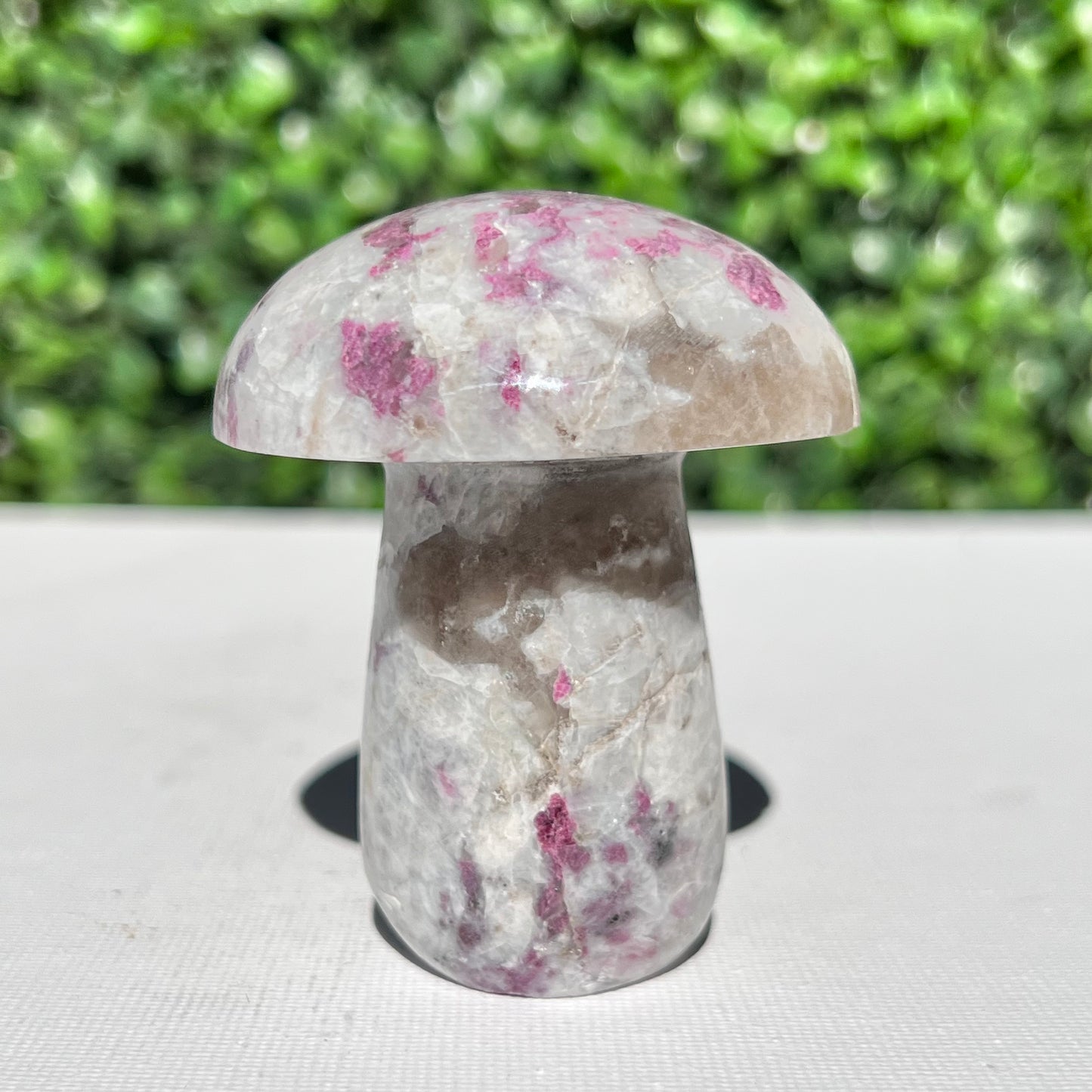Eudialyte Mushroom