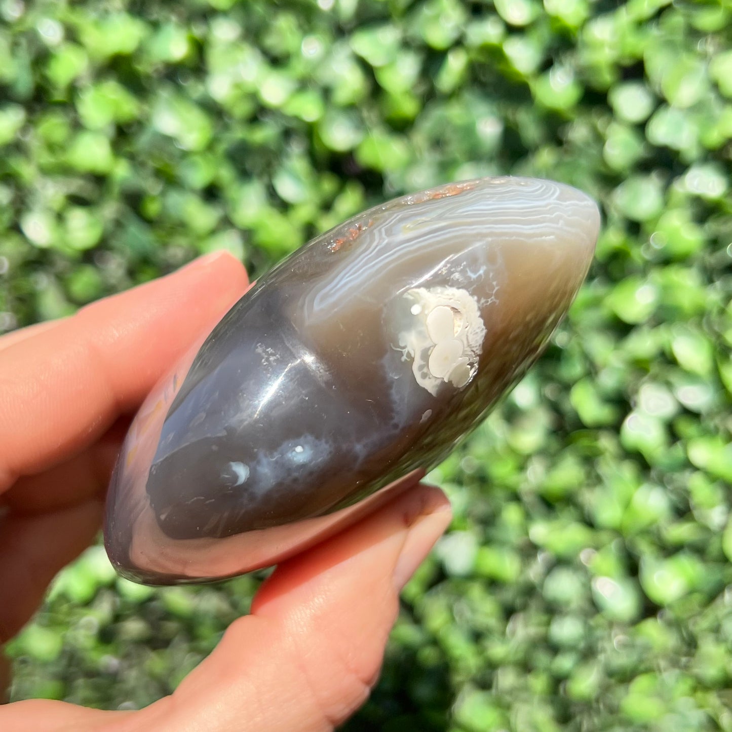 Orca Agate Heart