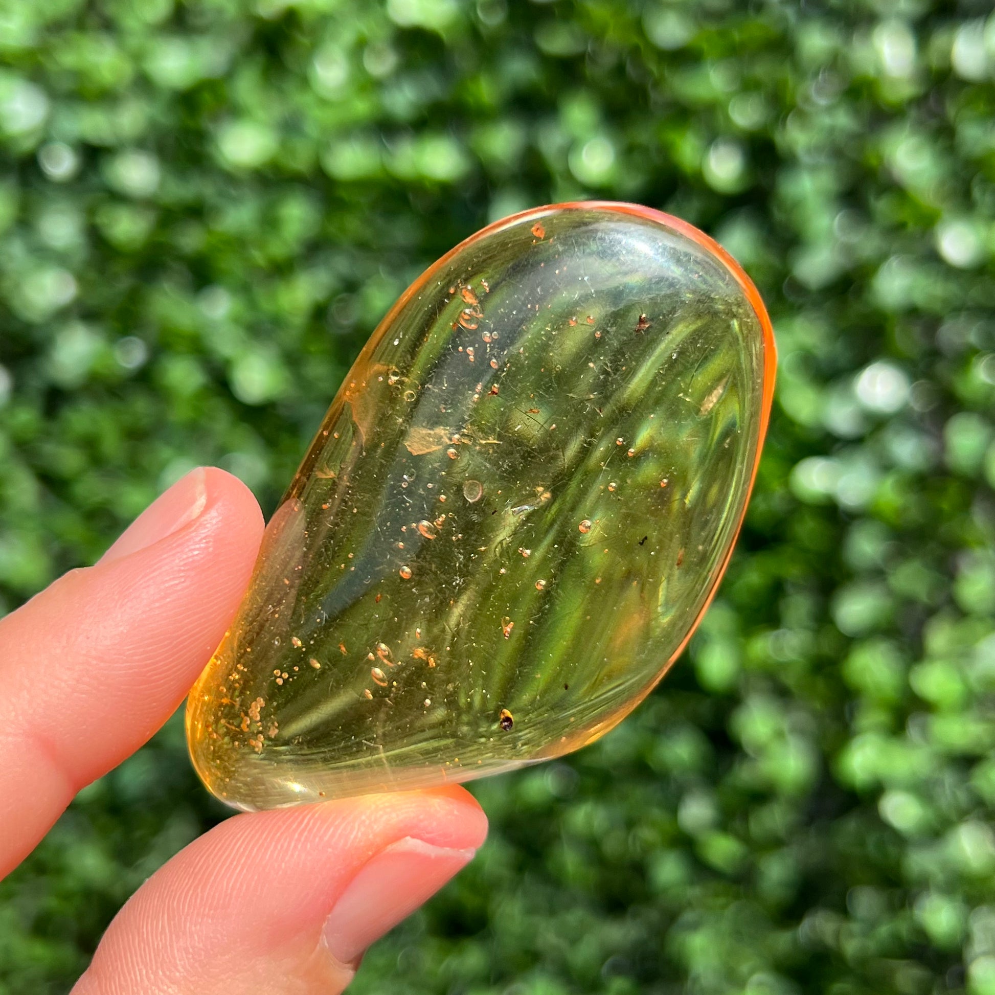 Copal amber discount