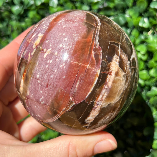 Petrified Wood Sphere