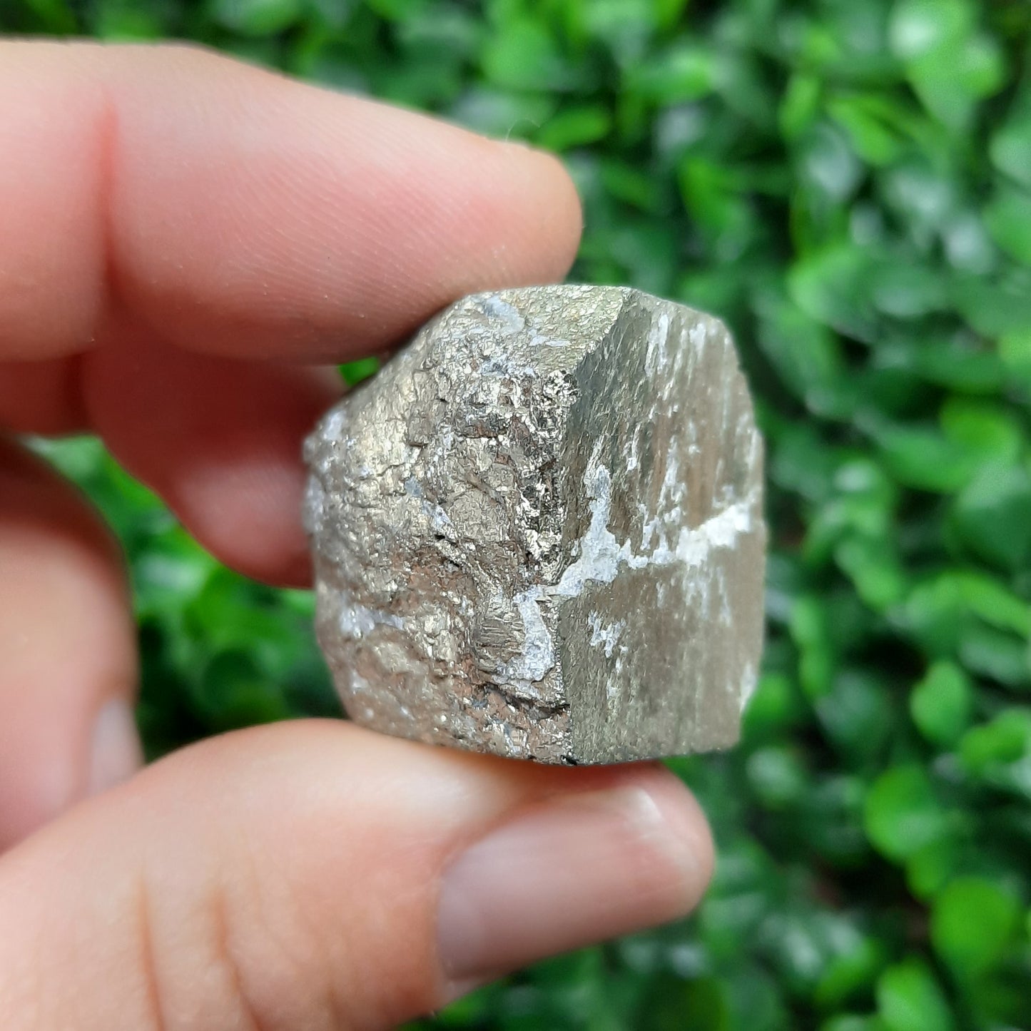 Pyrite Tumbles ~ Large