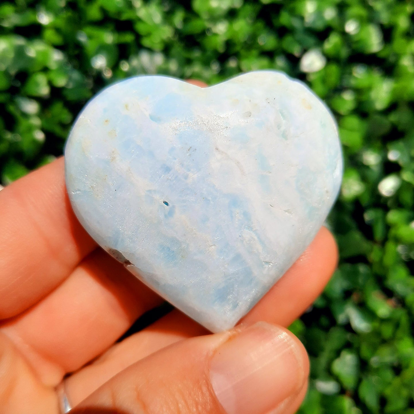 Caribbean Blue Hearts ~ Small