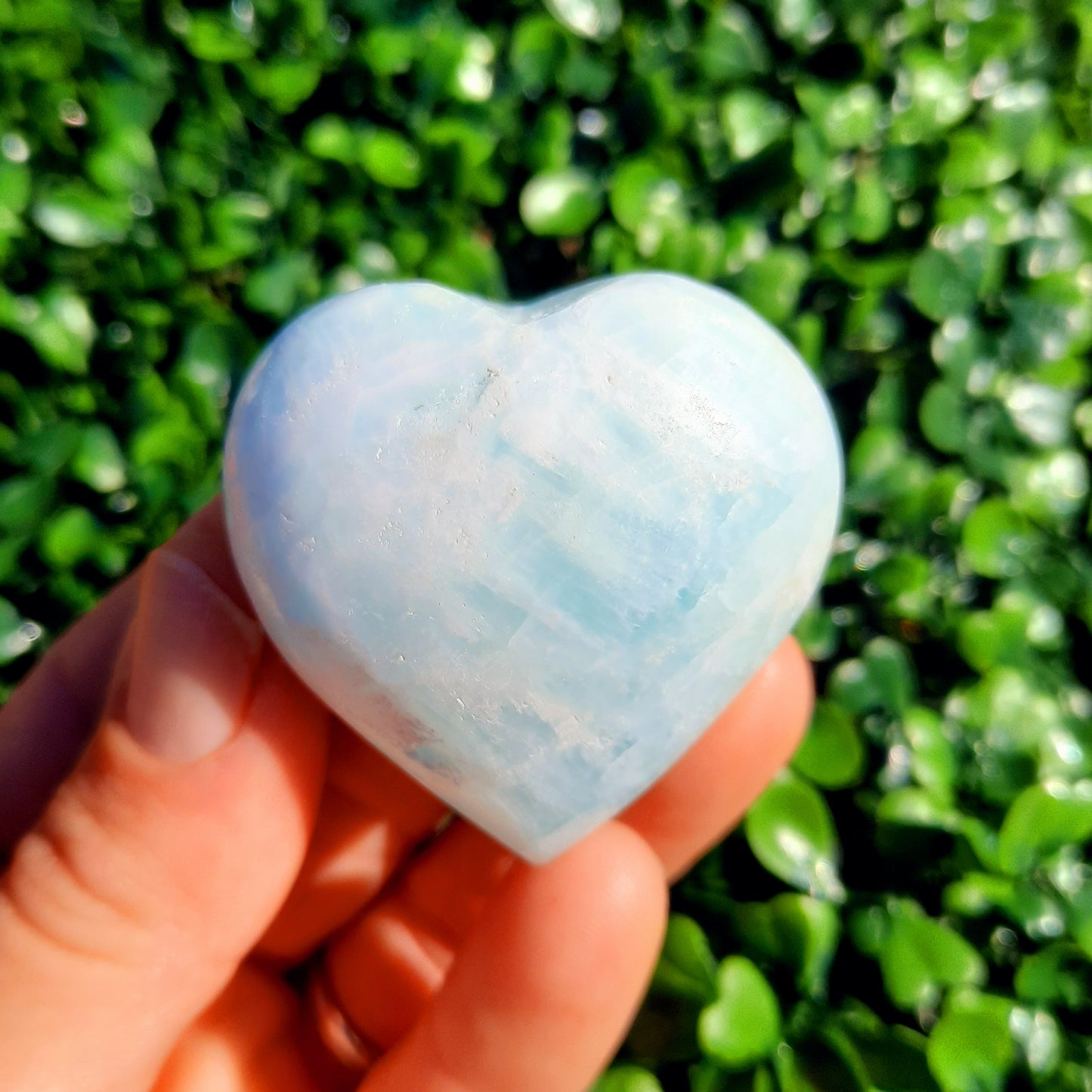 Caribbean Blue Heart’s