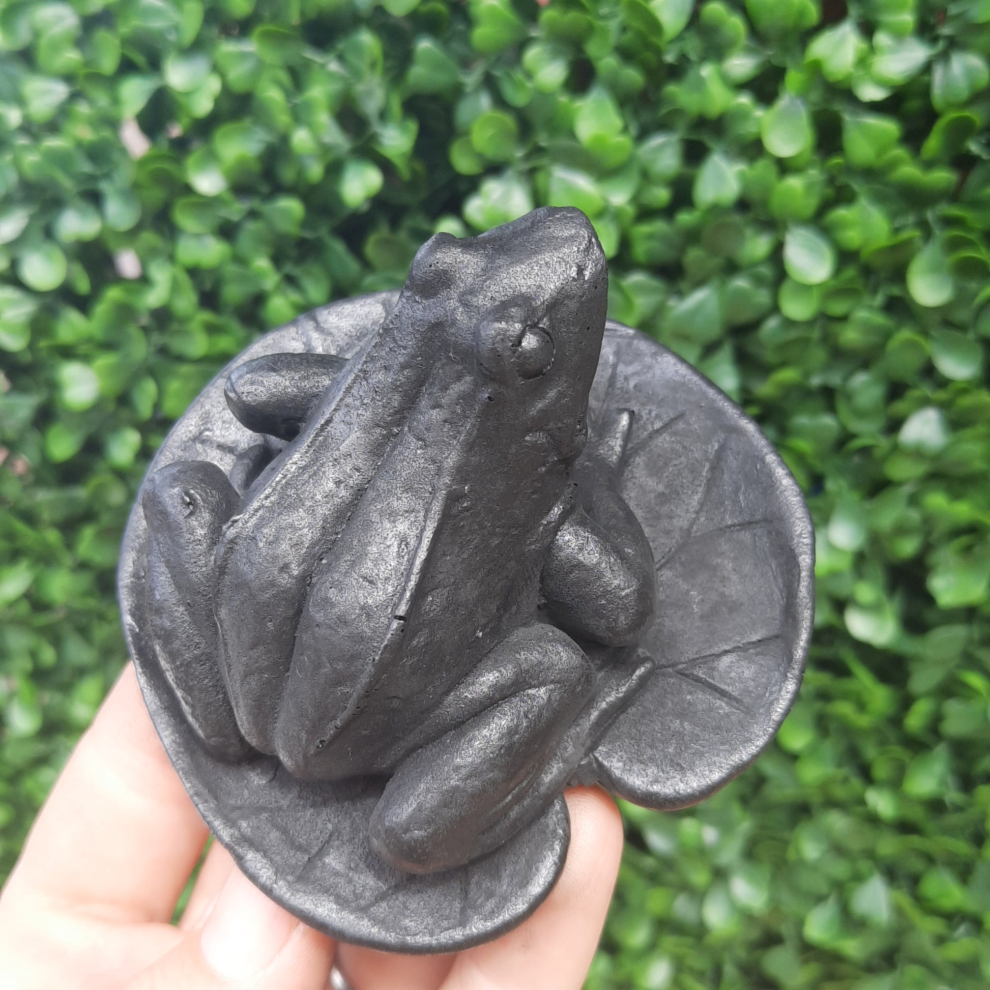 Shungite Frog Statue - Realive Metaphysical Shop