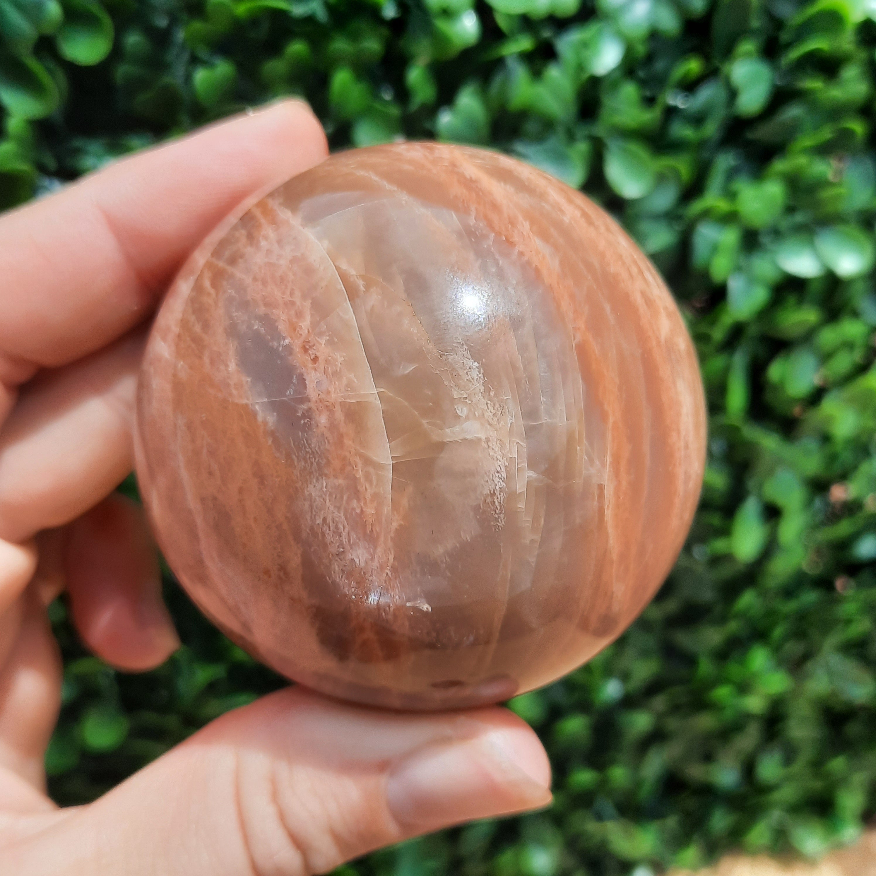 Flashy Pink Peach Moonstone Sphere Natural Stone ~ Polished Natural Stone deals Crystal ~ Peach Sunstone Sphere ~ 74mm