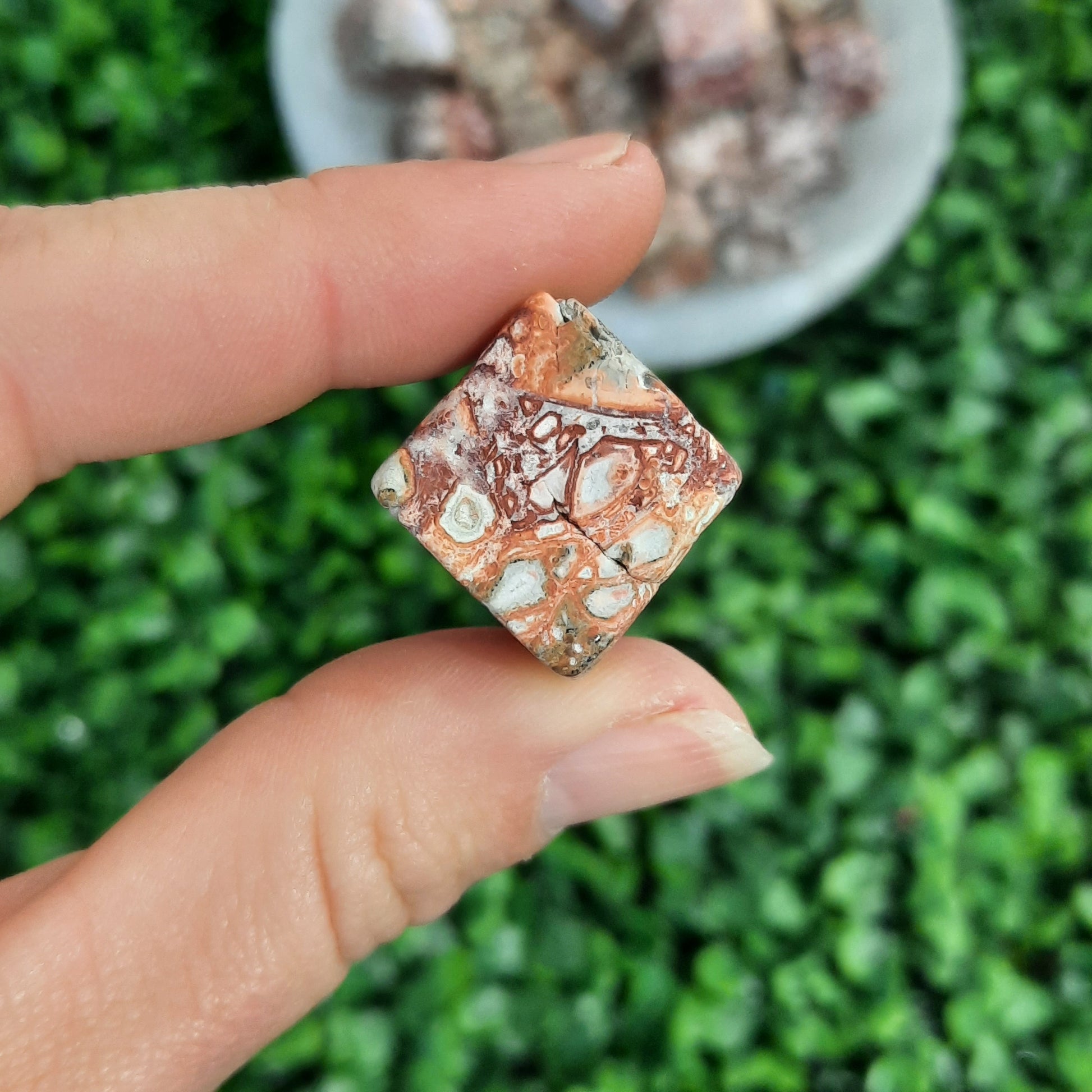 Leopard Skin Jasper Cube Tumble's – The Crystal Society Pty Ltd