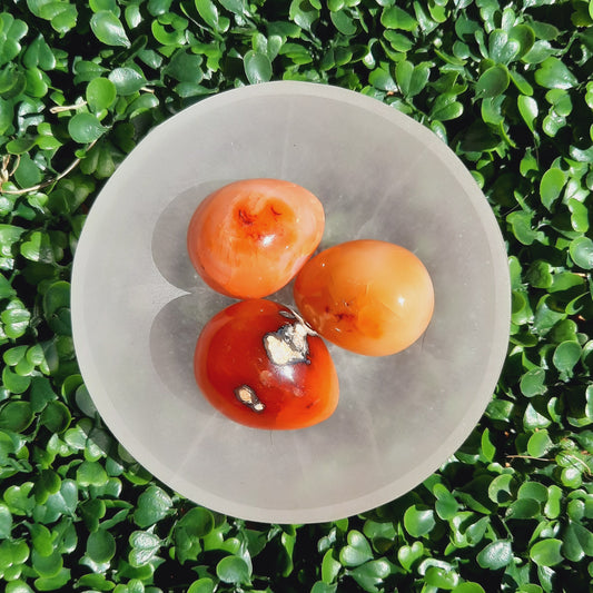 Carnelian Eggs