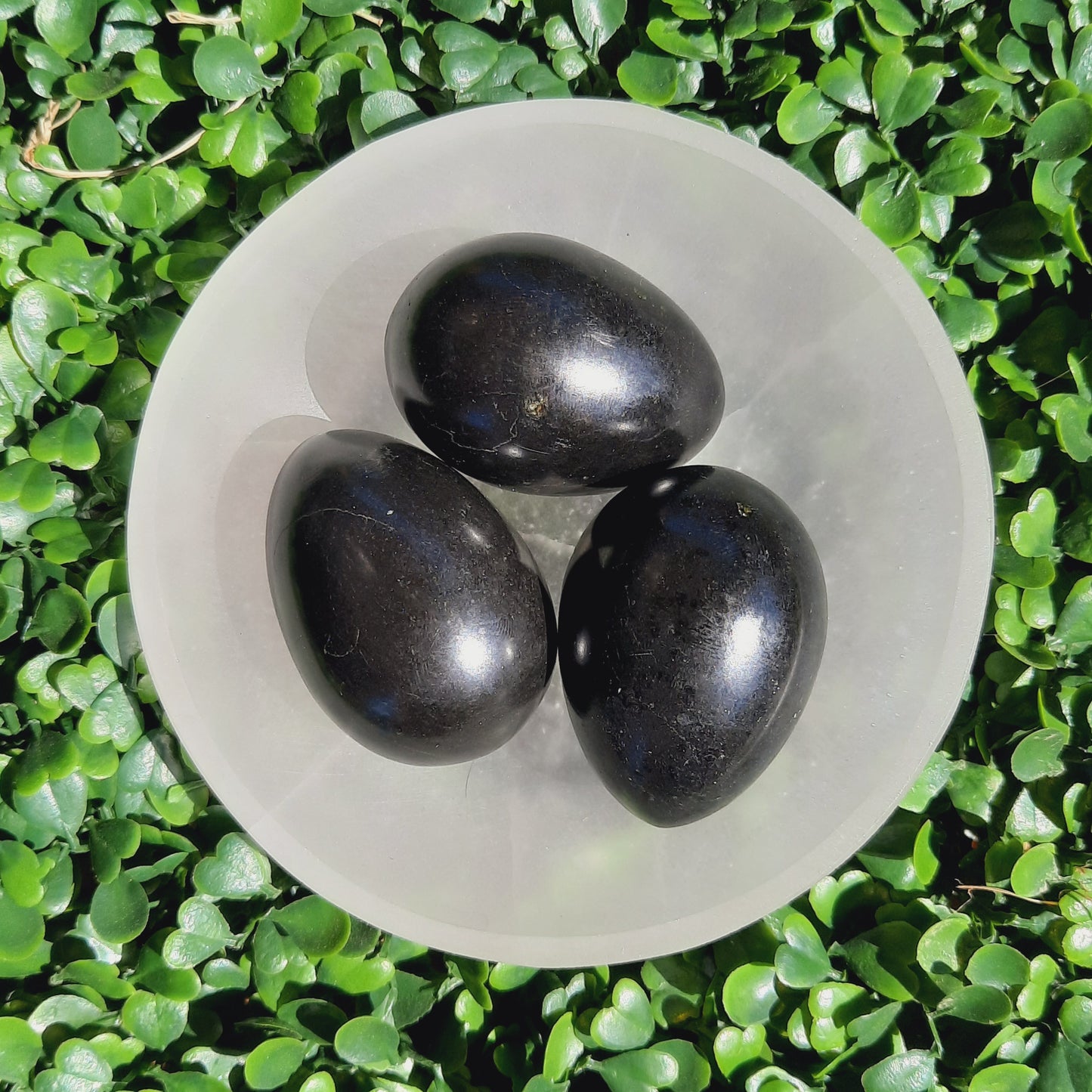 Black Tourmaline Eggs