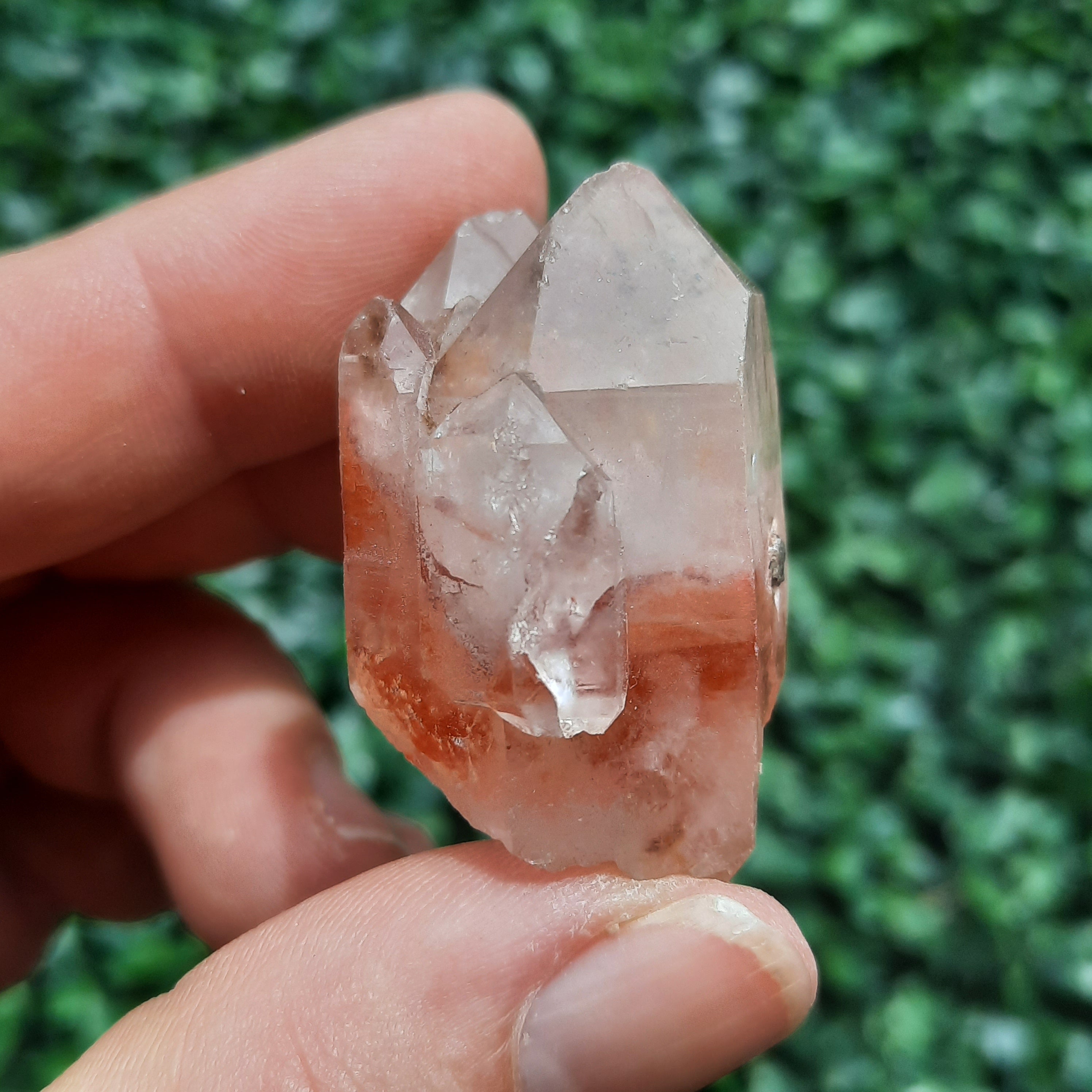 Red Quartz Specimen – The Crystal Society Pty Ltd