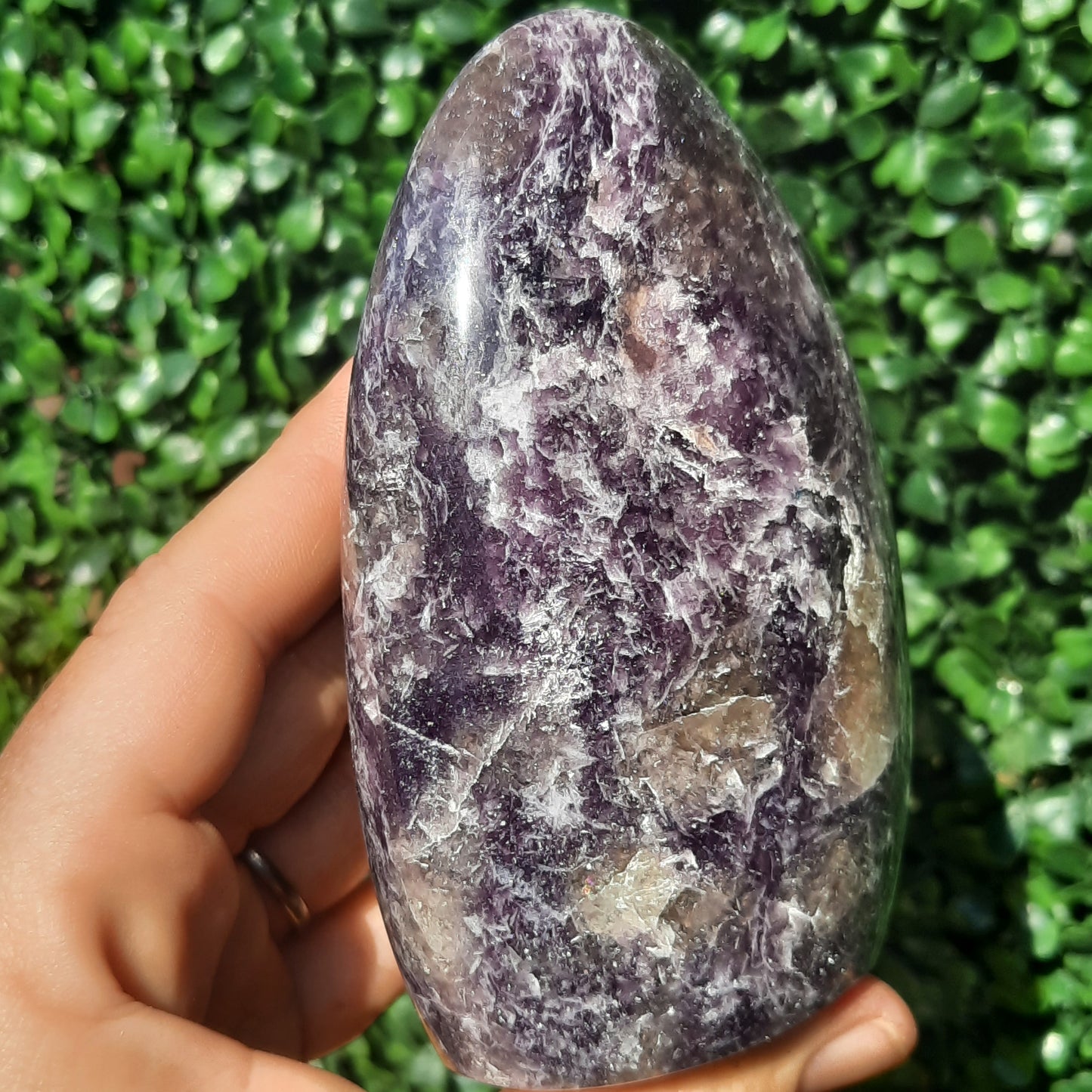 Lepidolite Unicorn Stone Free Form