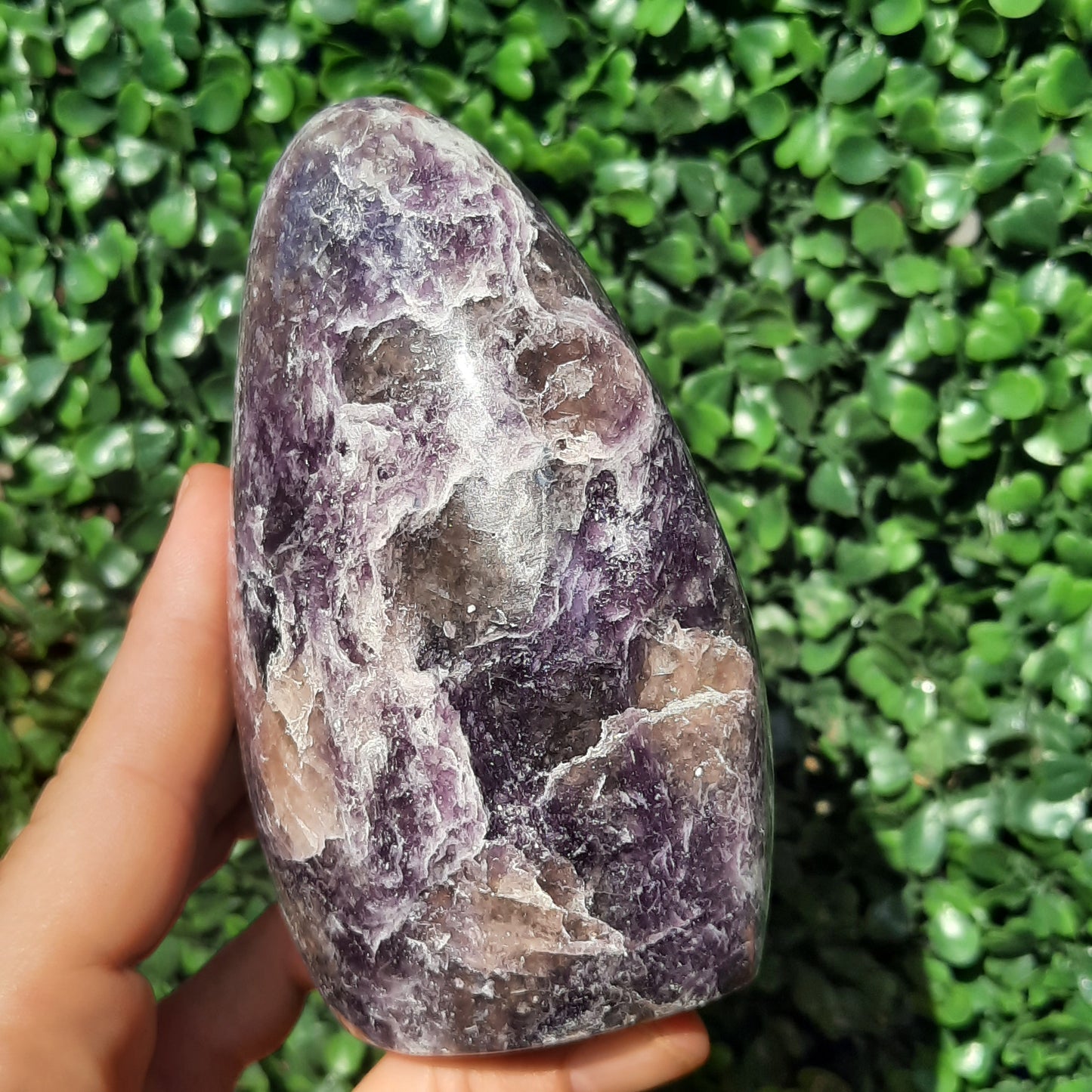 Lepidolite Unicorn Stone Free Form