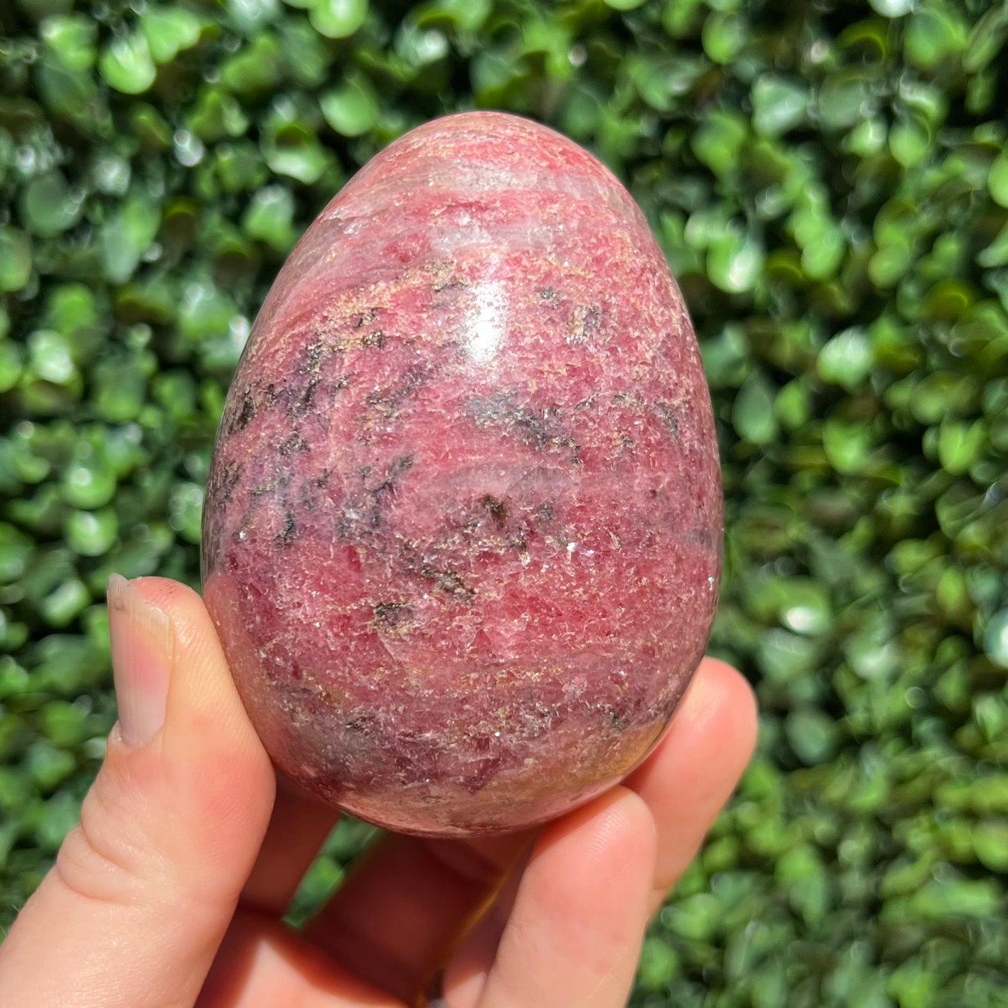 Rhodonite Egg