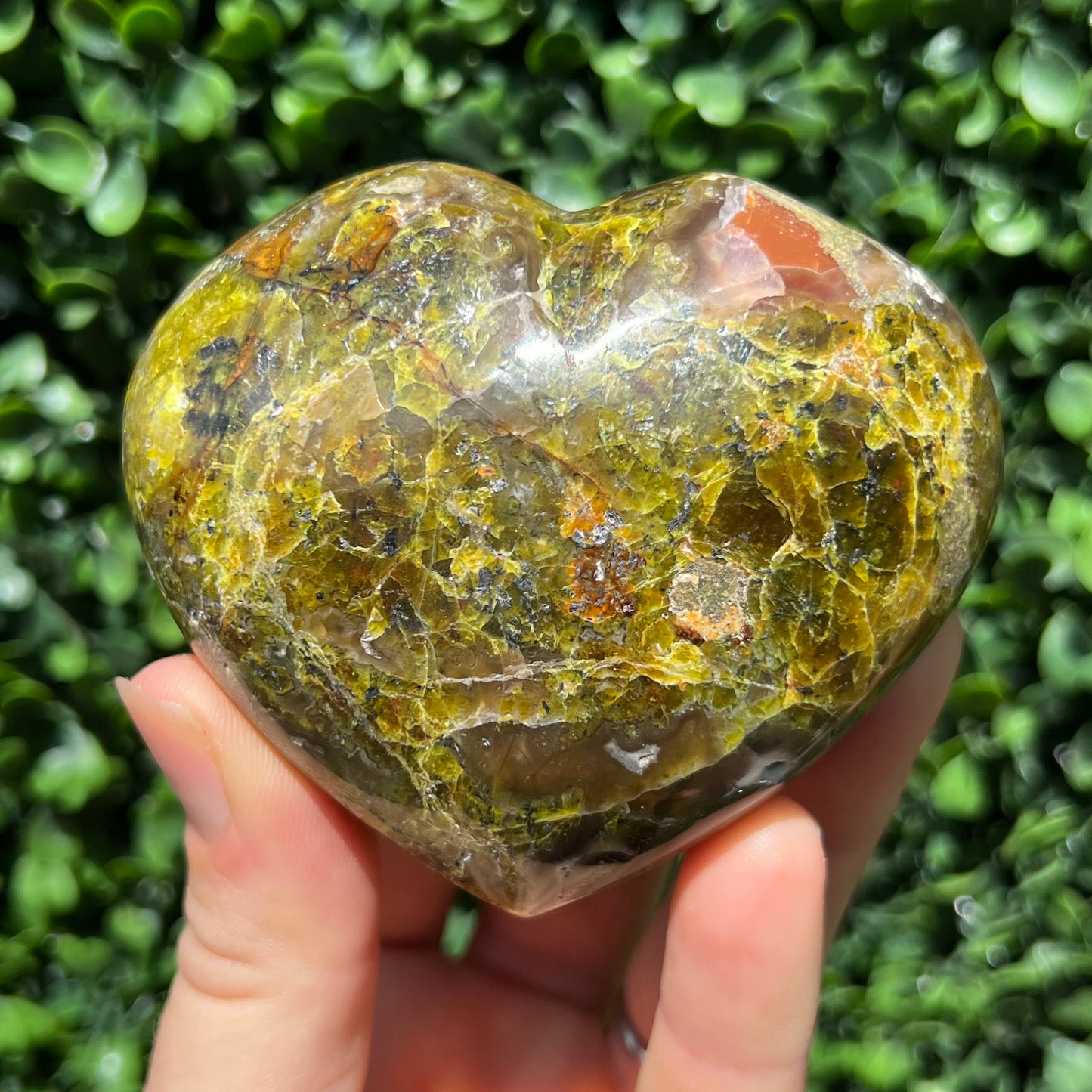 Kiwi Opal Heart