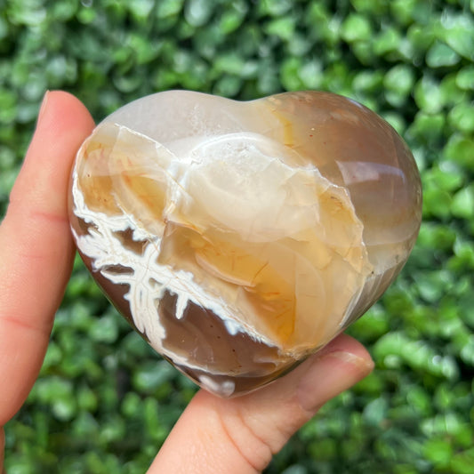 Orca Agate Heart