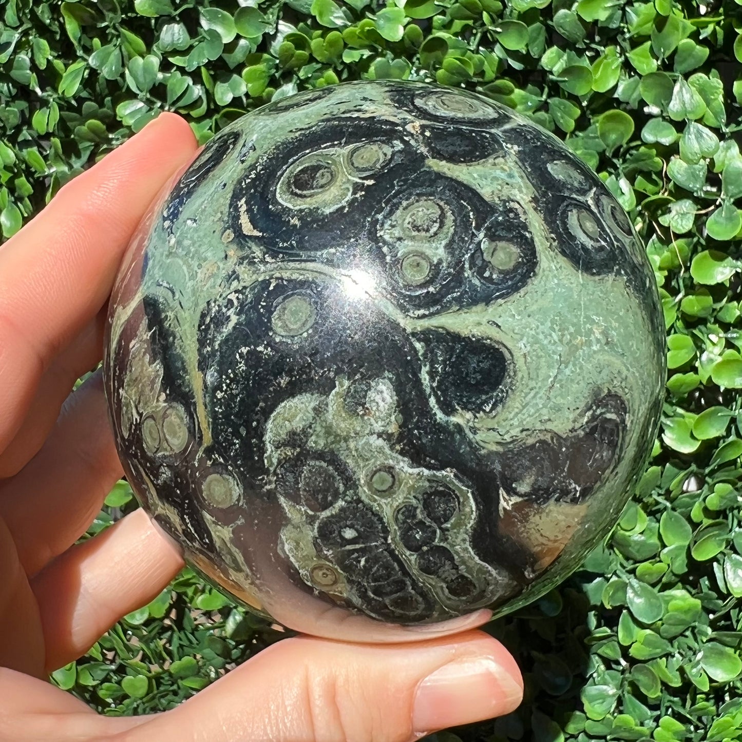 Kambaba Jasper Sphere