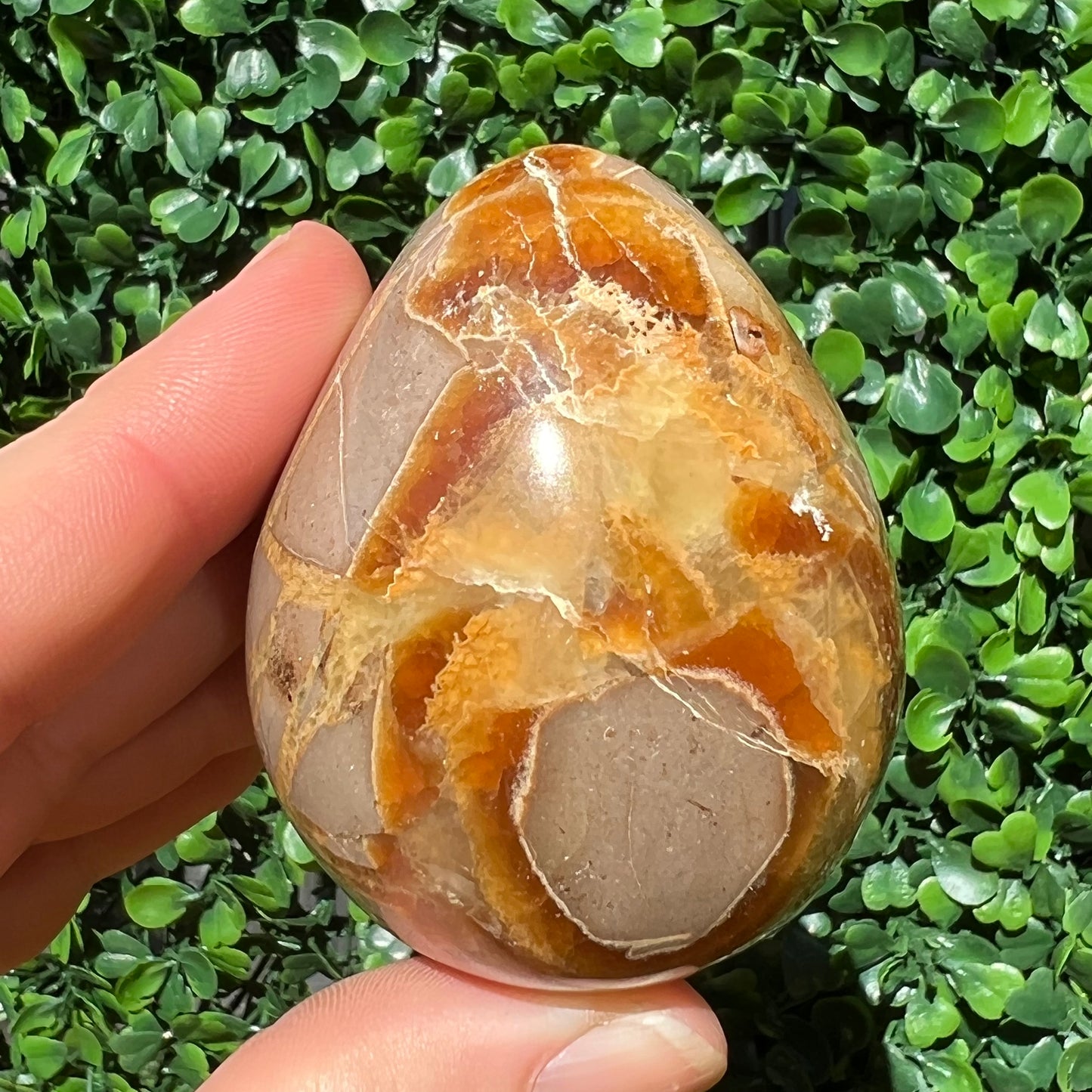 Septarian Yellow Calcite Egg