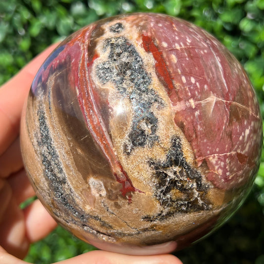 Petrified Wood Sphere