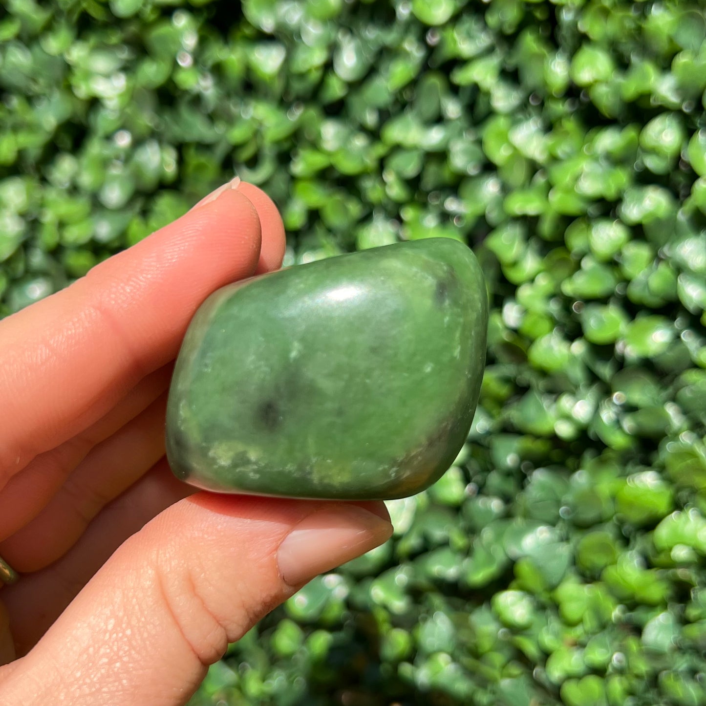 Jade Palm Stone