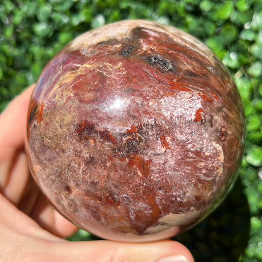 Petrified Wood Sphere