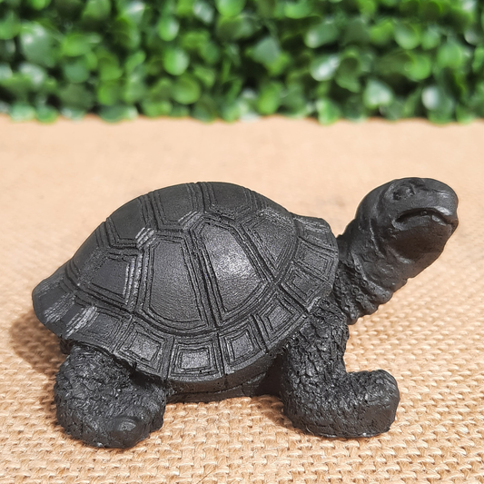 Shungite Turtle