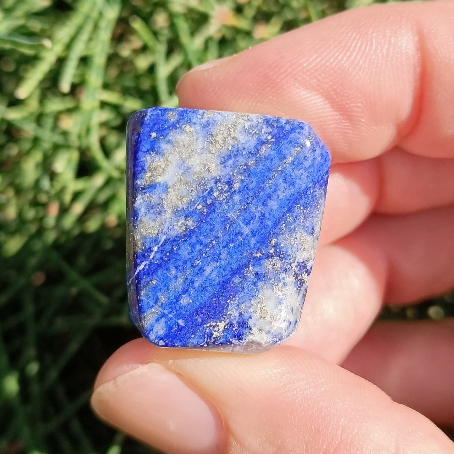 Lapis Lazuli Tumble’s