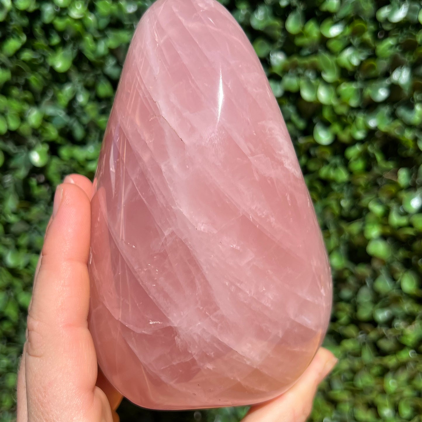 Rose Quartz Free Form