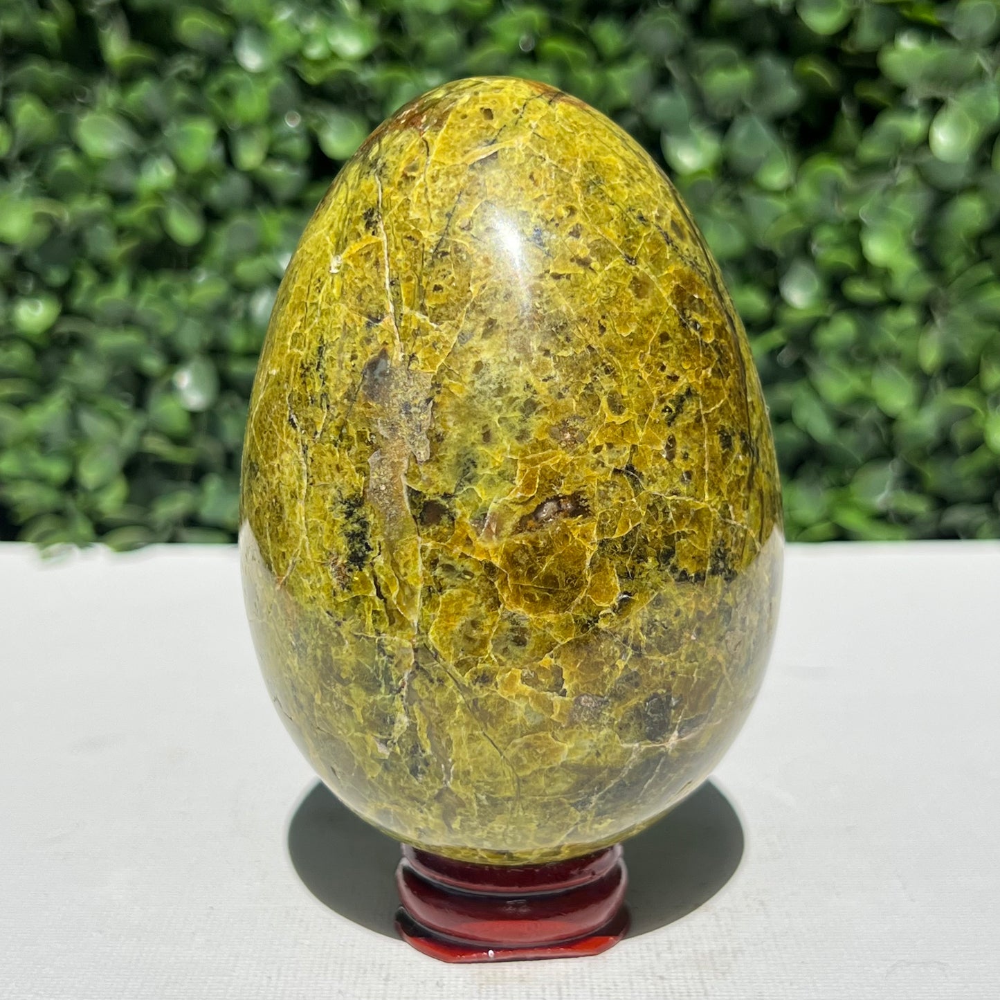 Kiwi Opal Egg