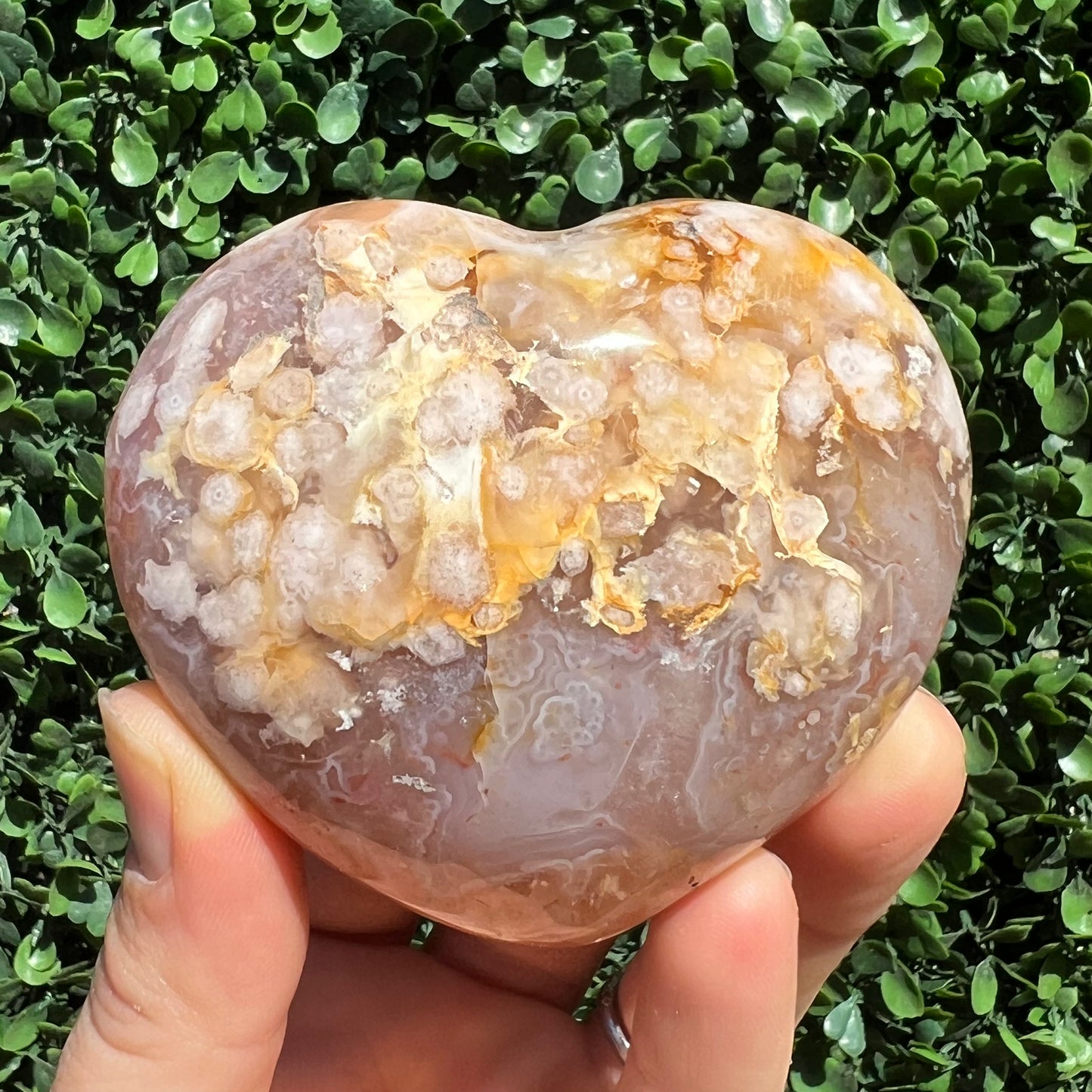 Flower Agate Heart