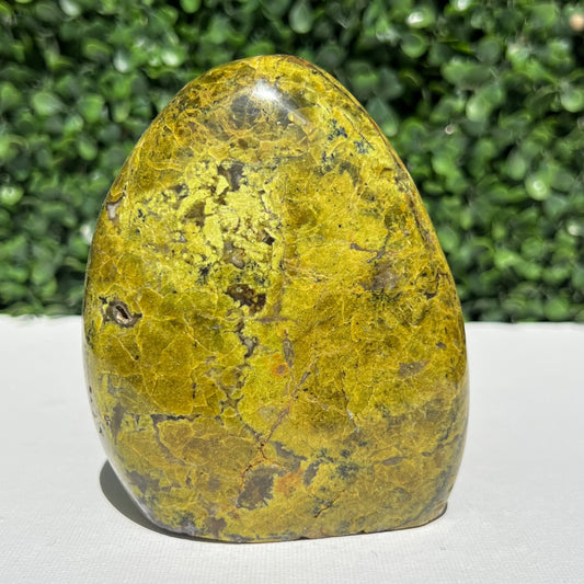 Kiwi Opal Free Form