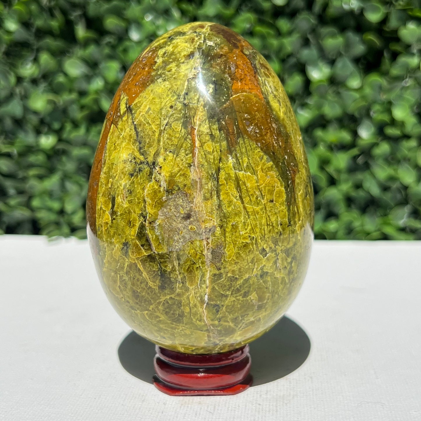 Kiwi Opal Egg