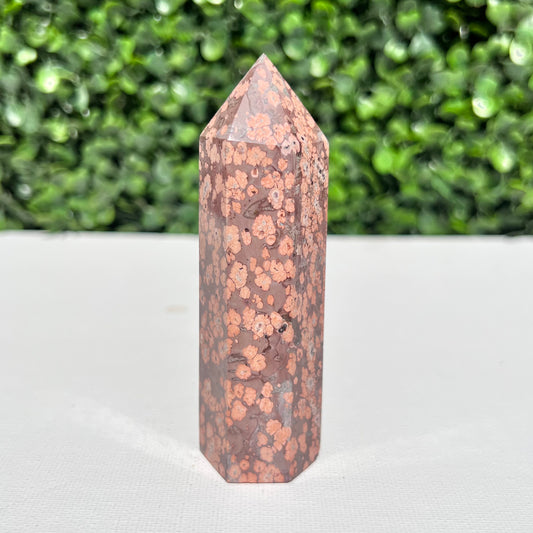 Leopard Skin Point