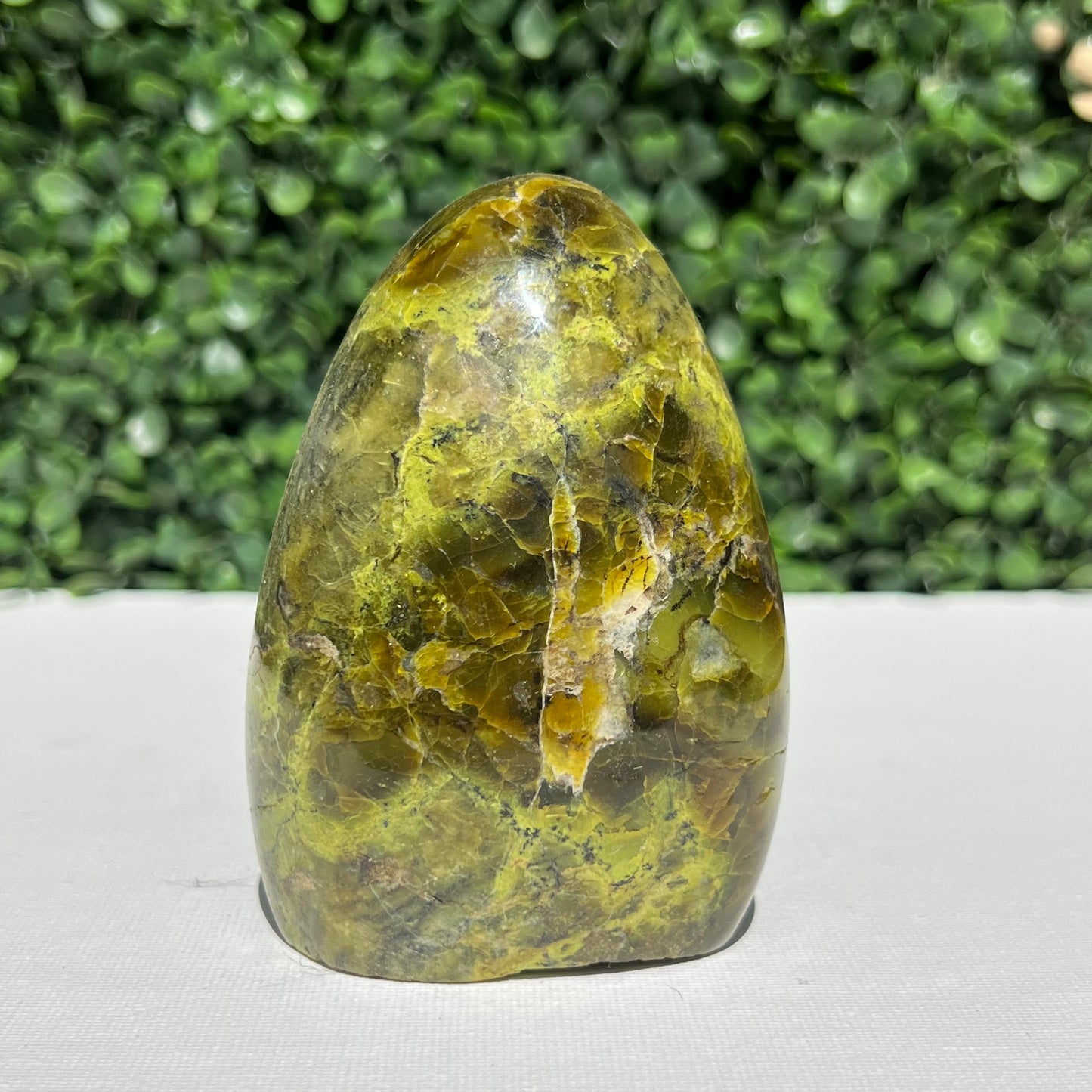 Kiwi Opal Free Form