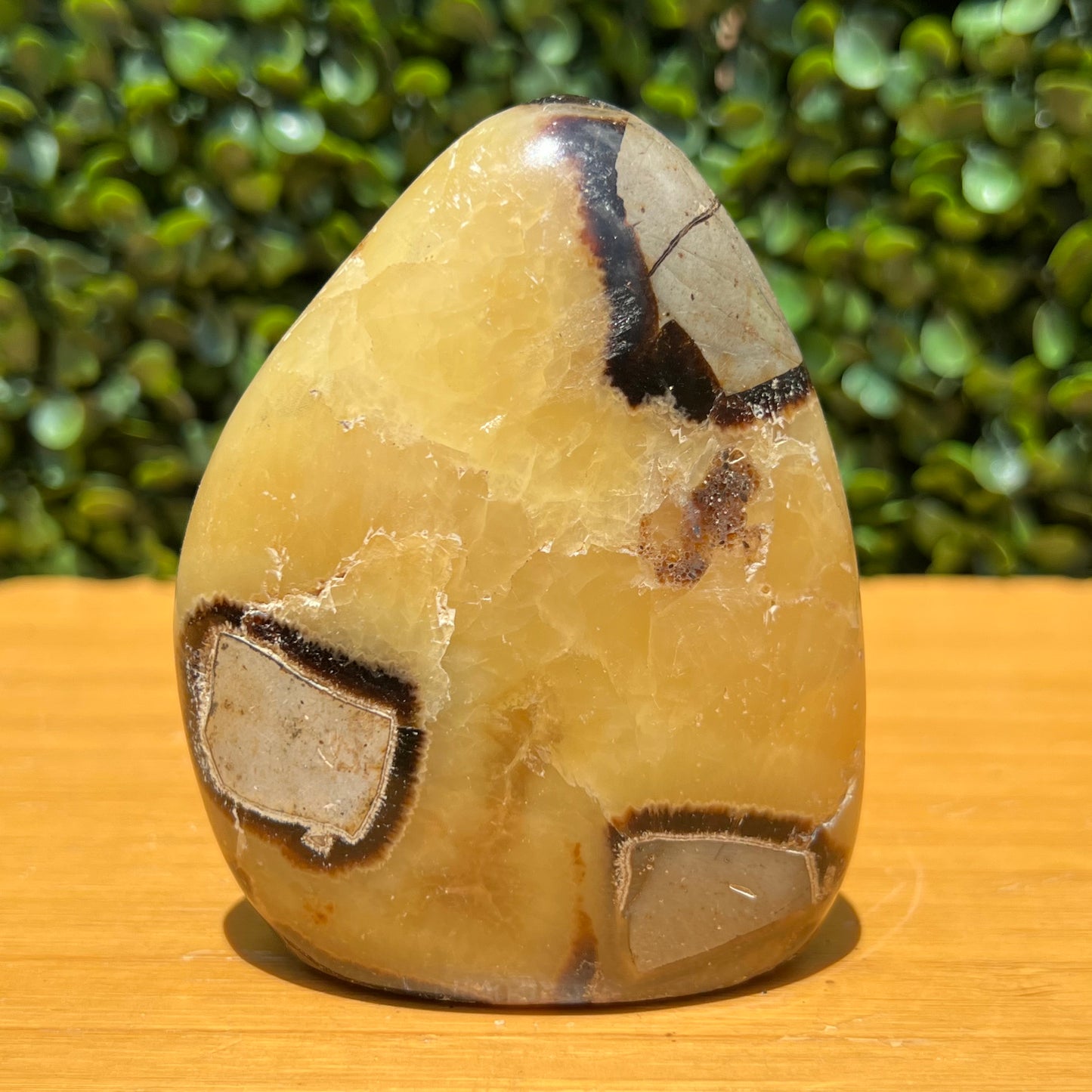 Septarian Yellow Calcite Free Form