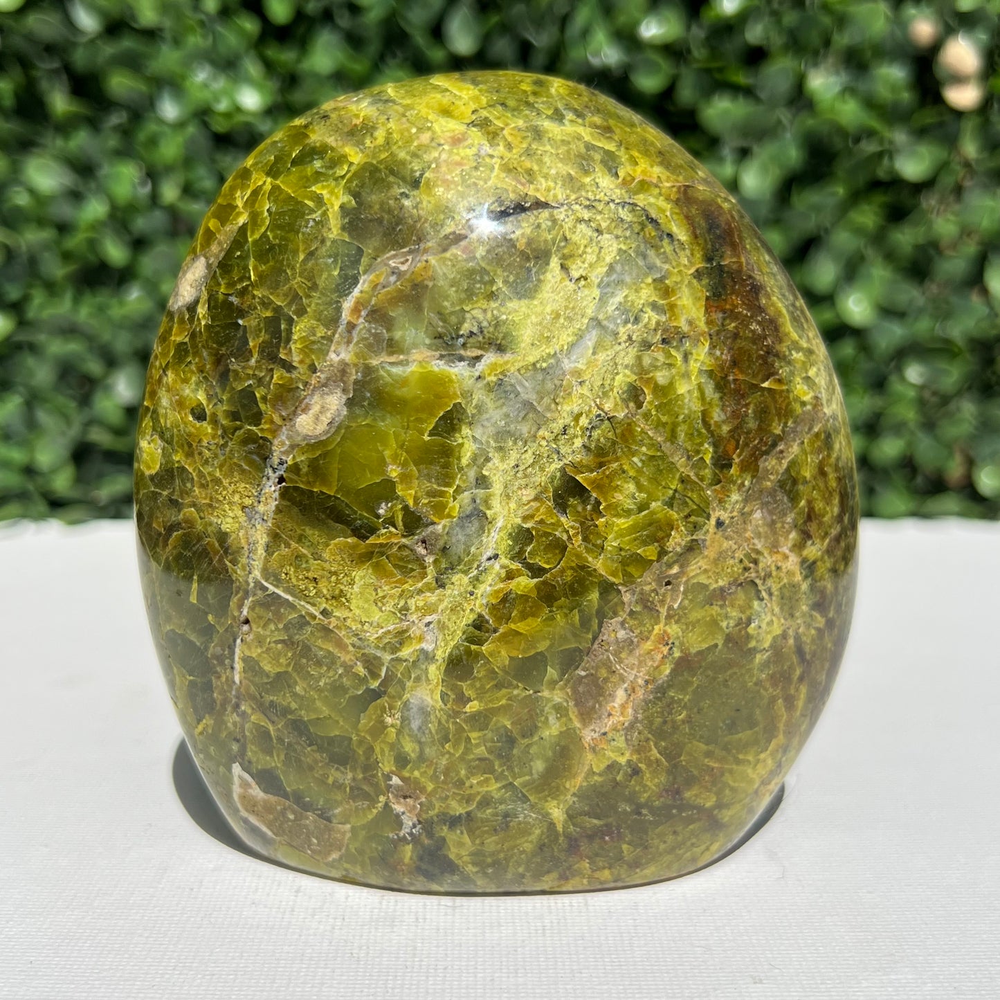 Kiwi Opal Free Form