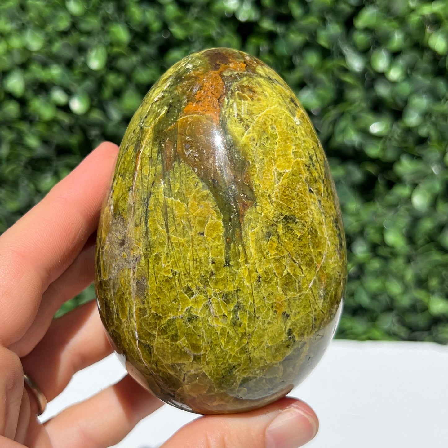 Kiwi Opal Egg