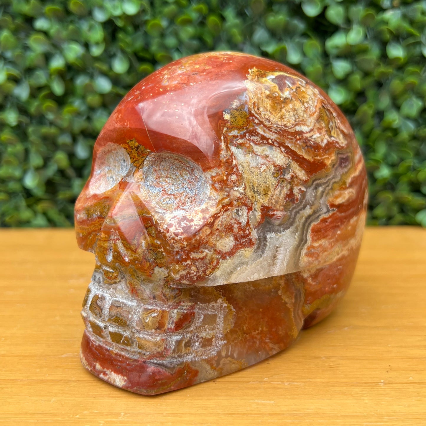 Ocean Jasper Skull