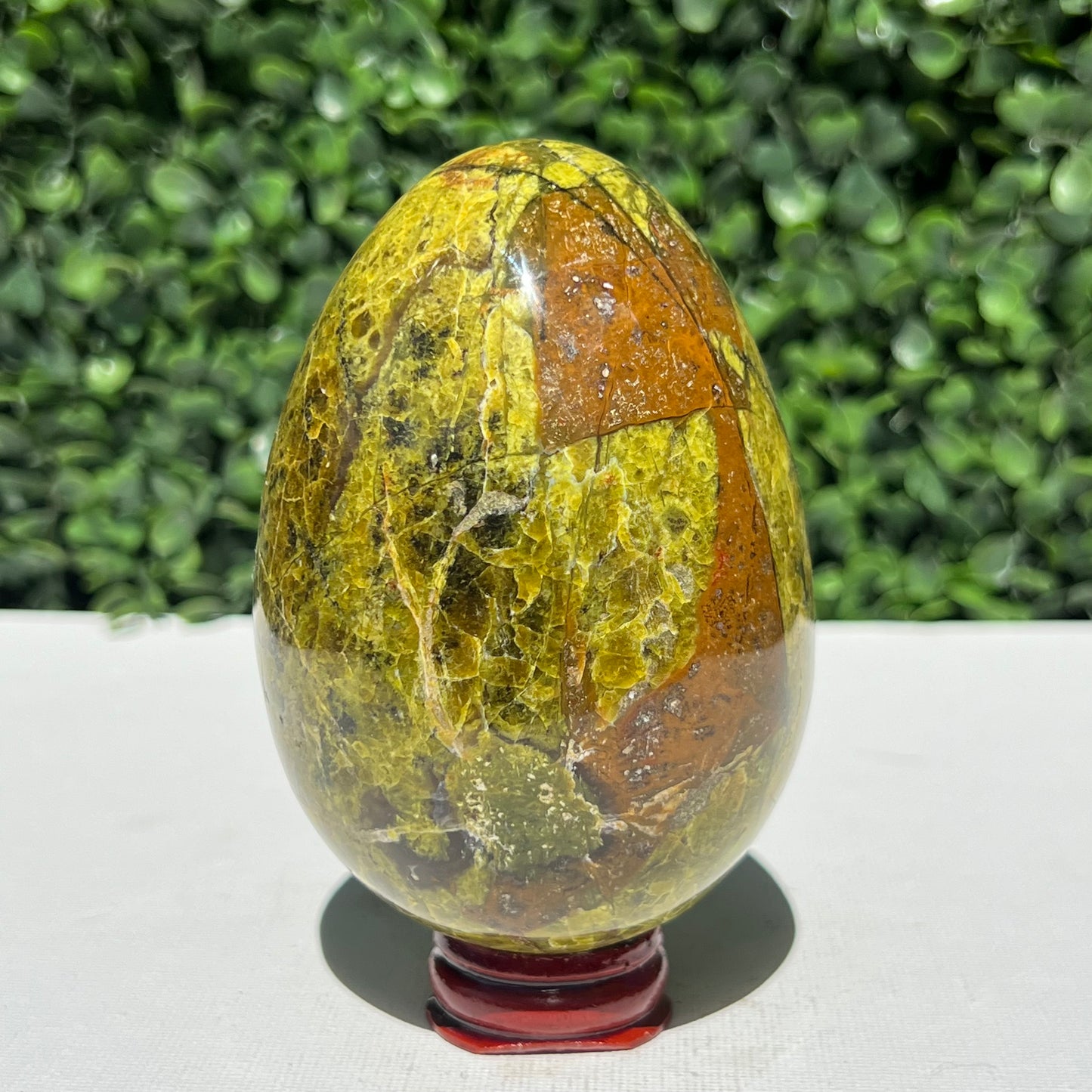 Kiwi Opal Egg