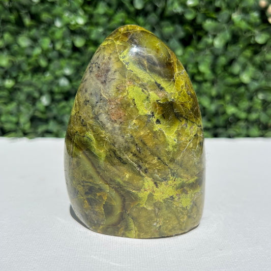 Kiwi Opal Free Form