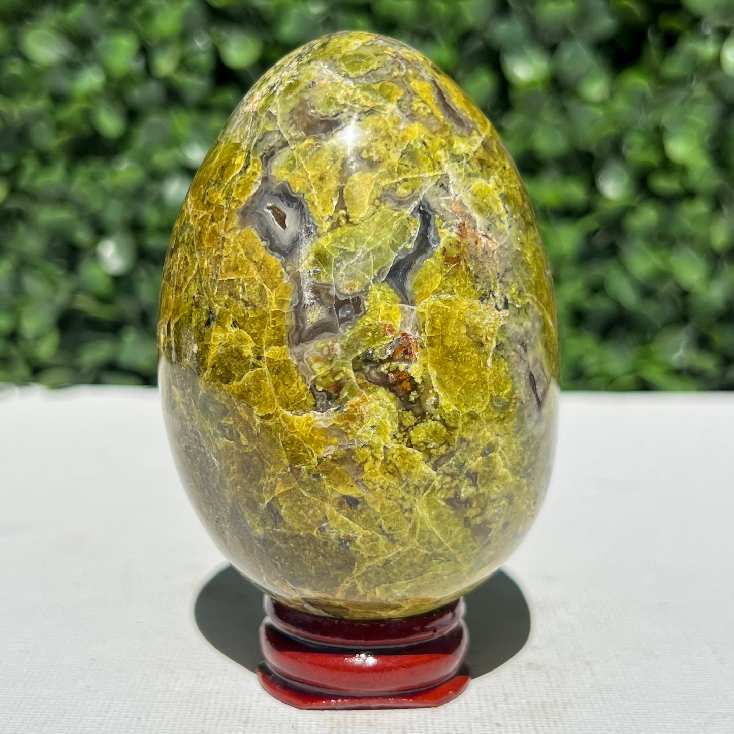 Kiwi Opal Egg