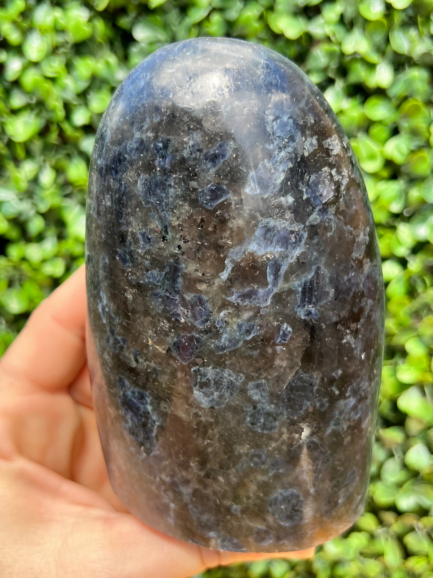 Cordierite Quartz Free Form