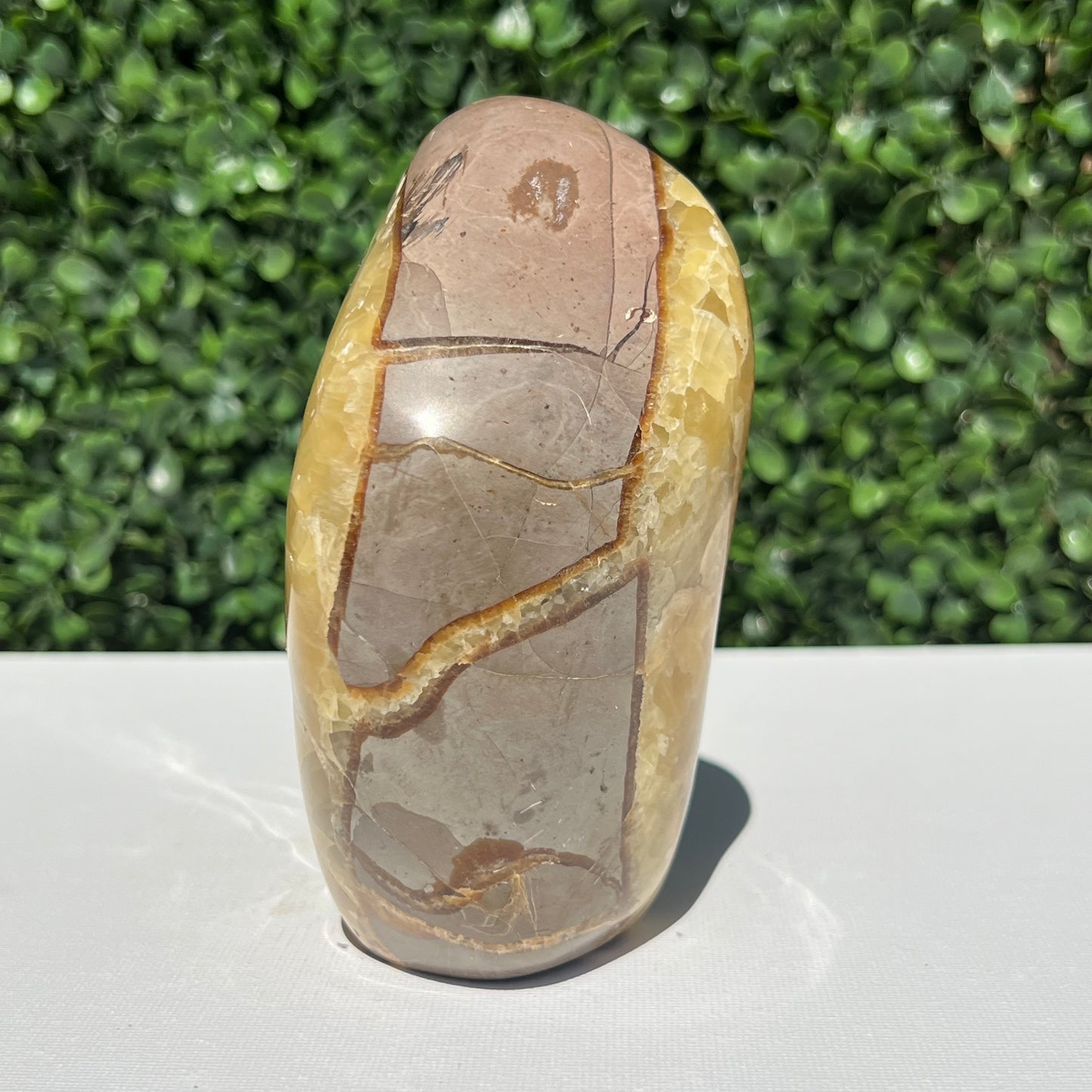 Septarian Yellow Calcite Free Form