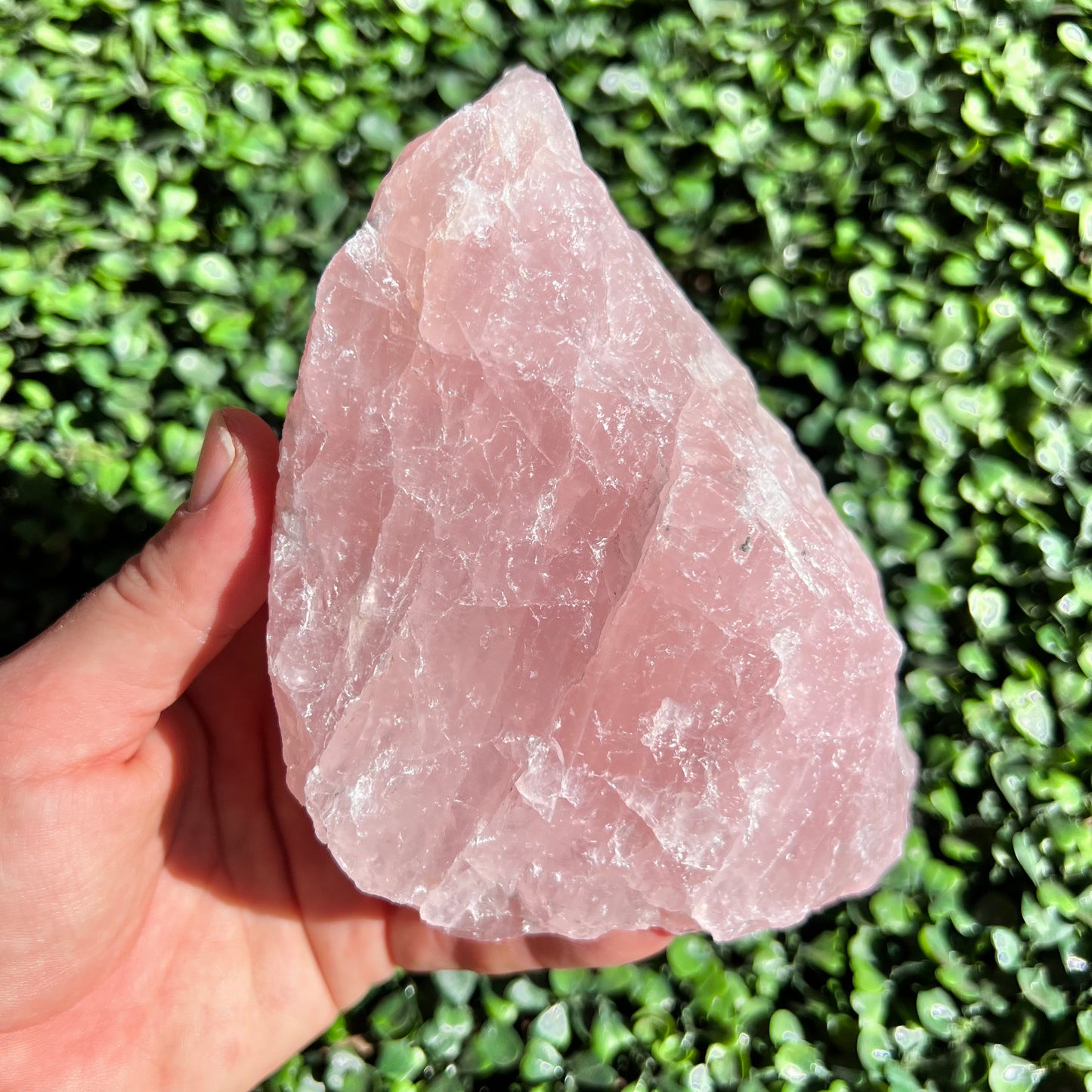 Rough Rose Quartz Crystal