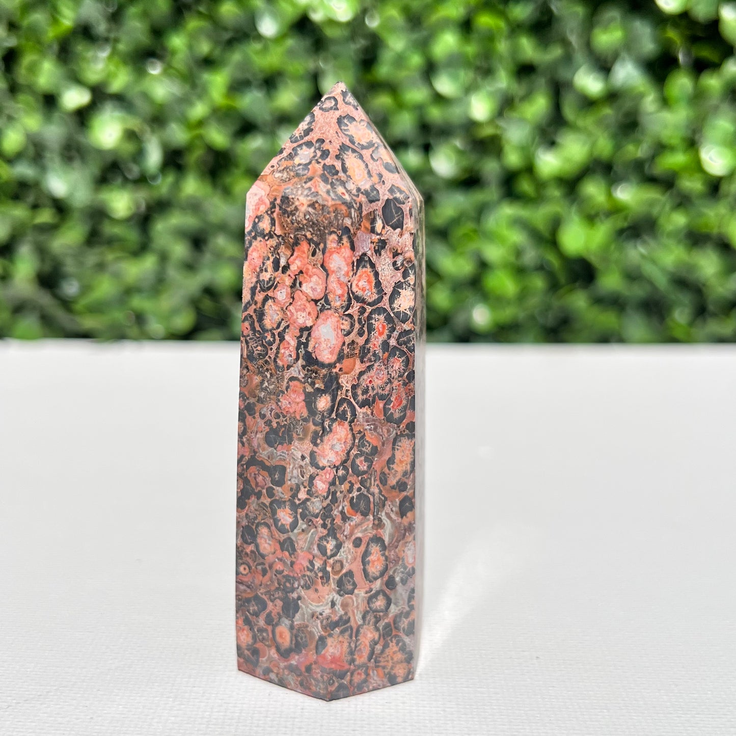 Leopard Skin Point