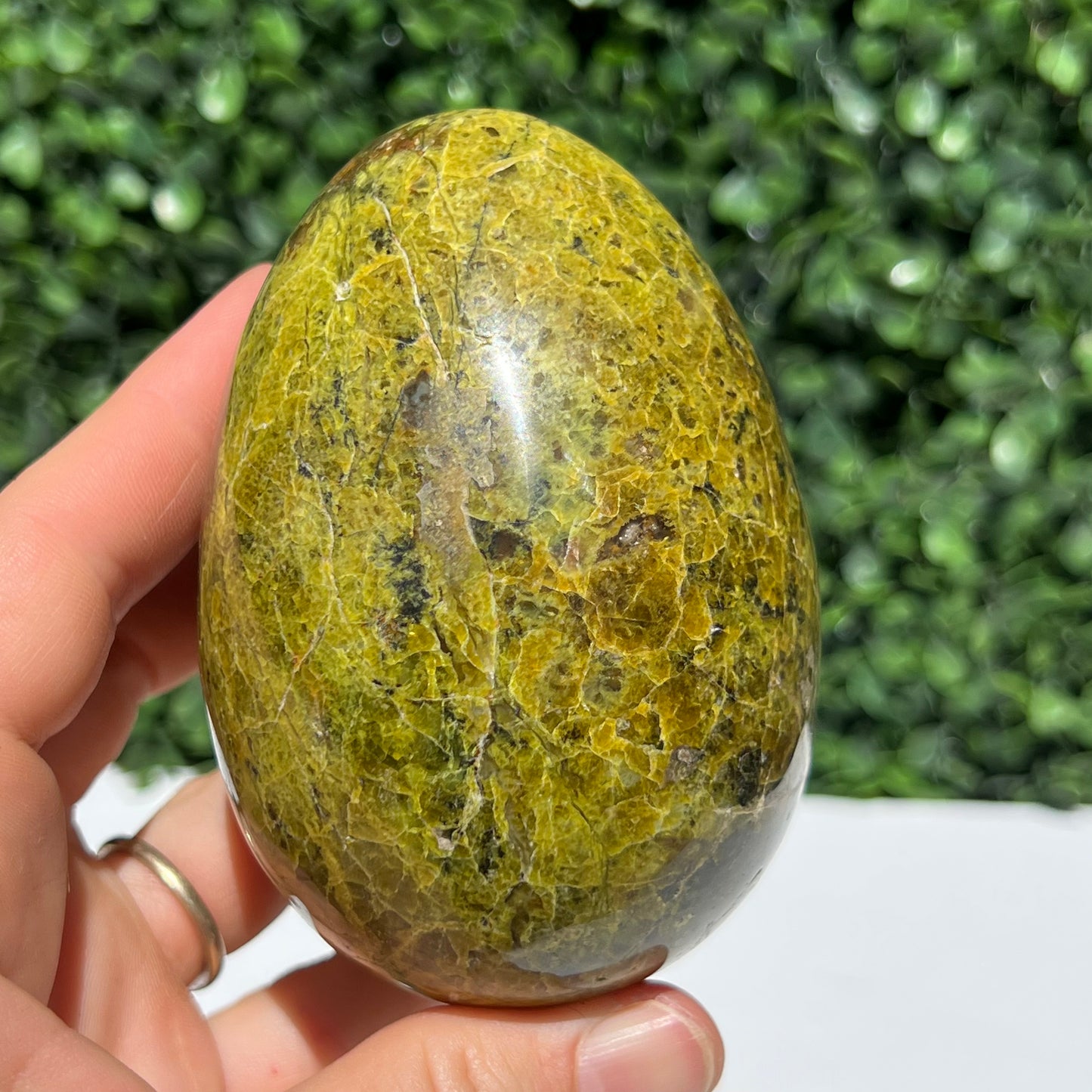 Kiwi Opal Egg