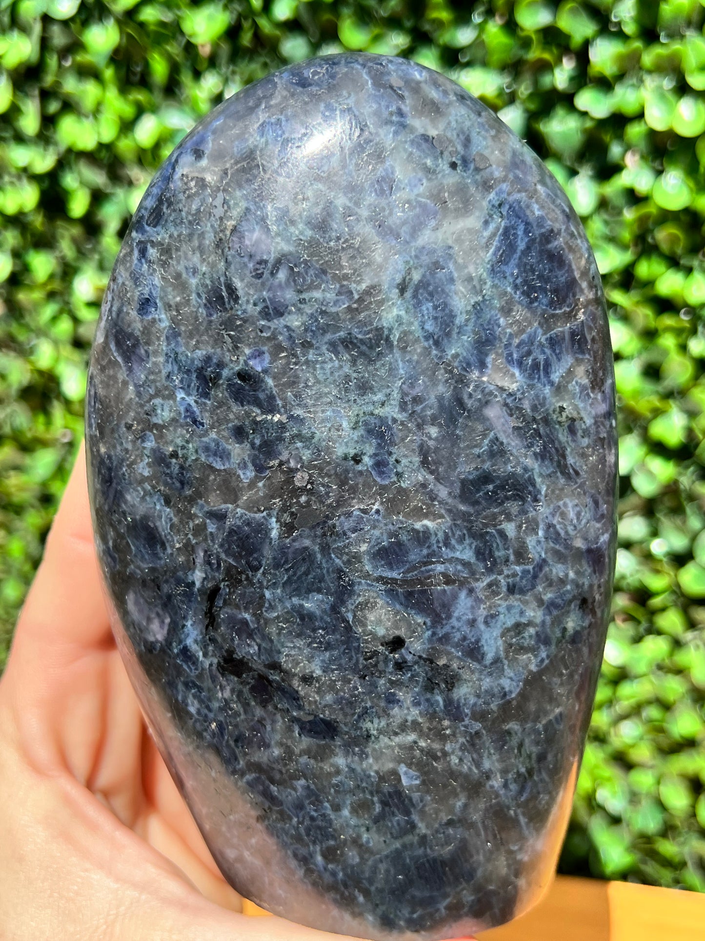 Cordierite Quartz Free Form